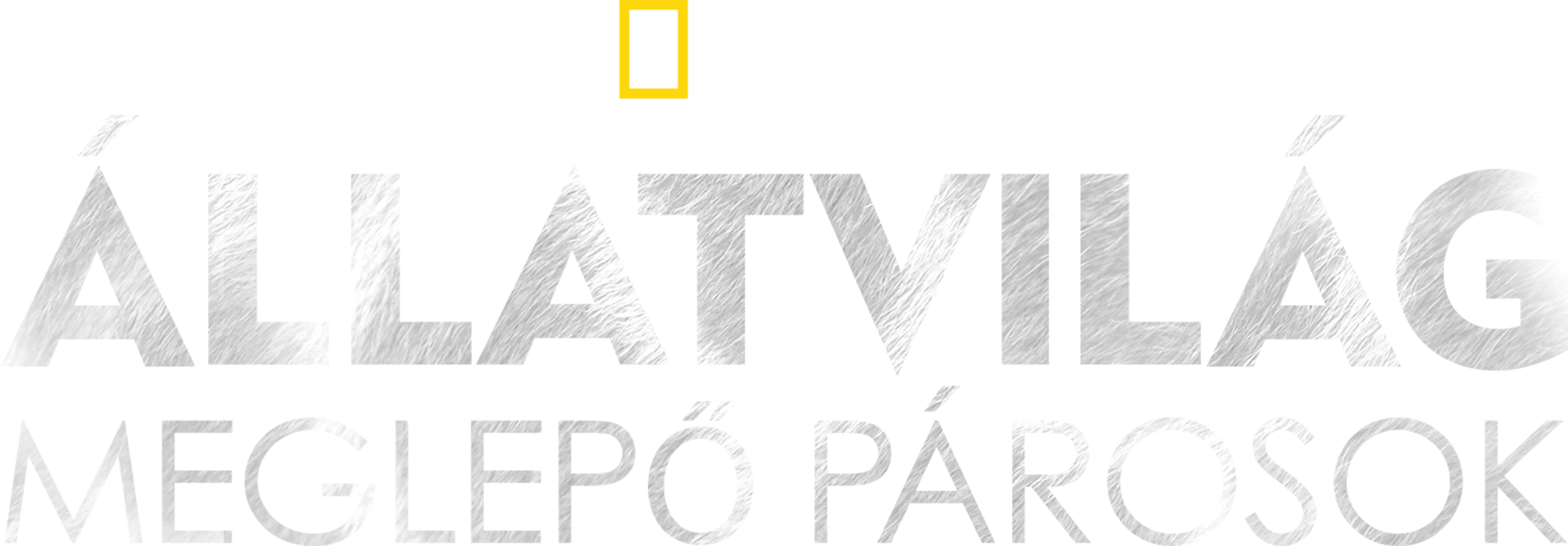 Állatvilág: meglepő párosok