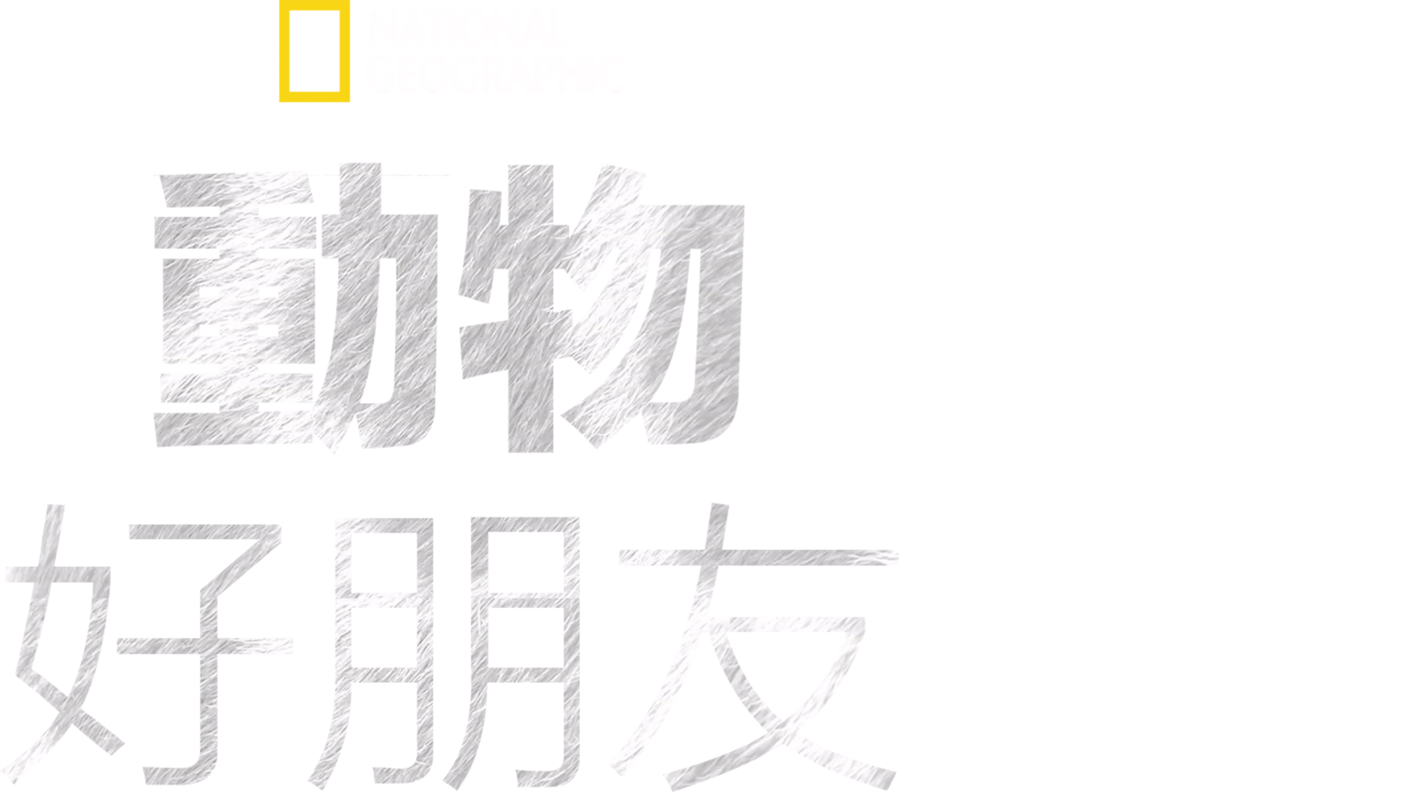 動物好朋友