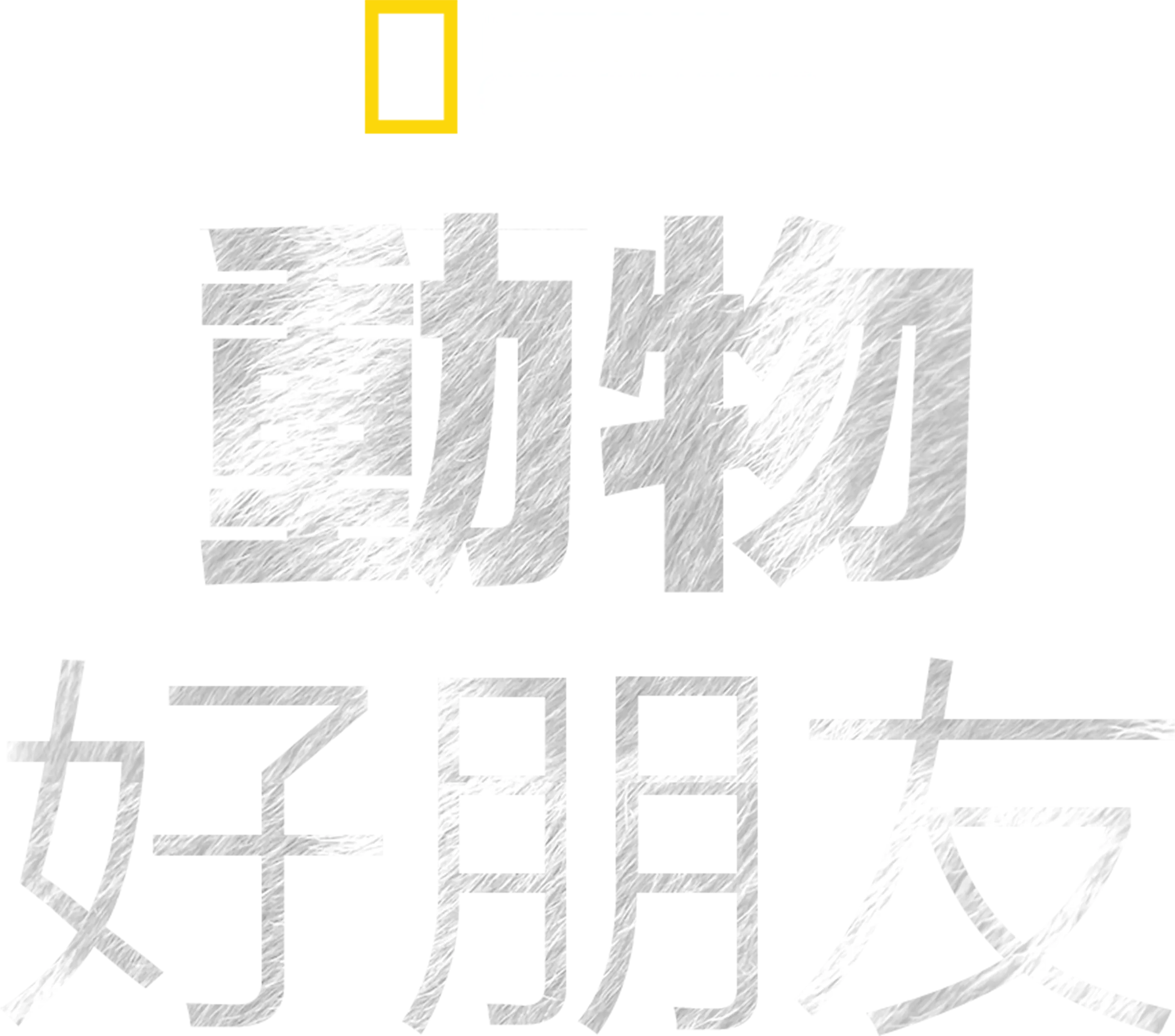 動物好朋友
