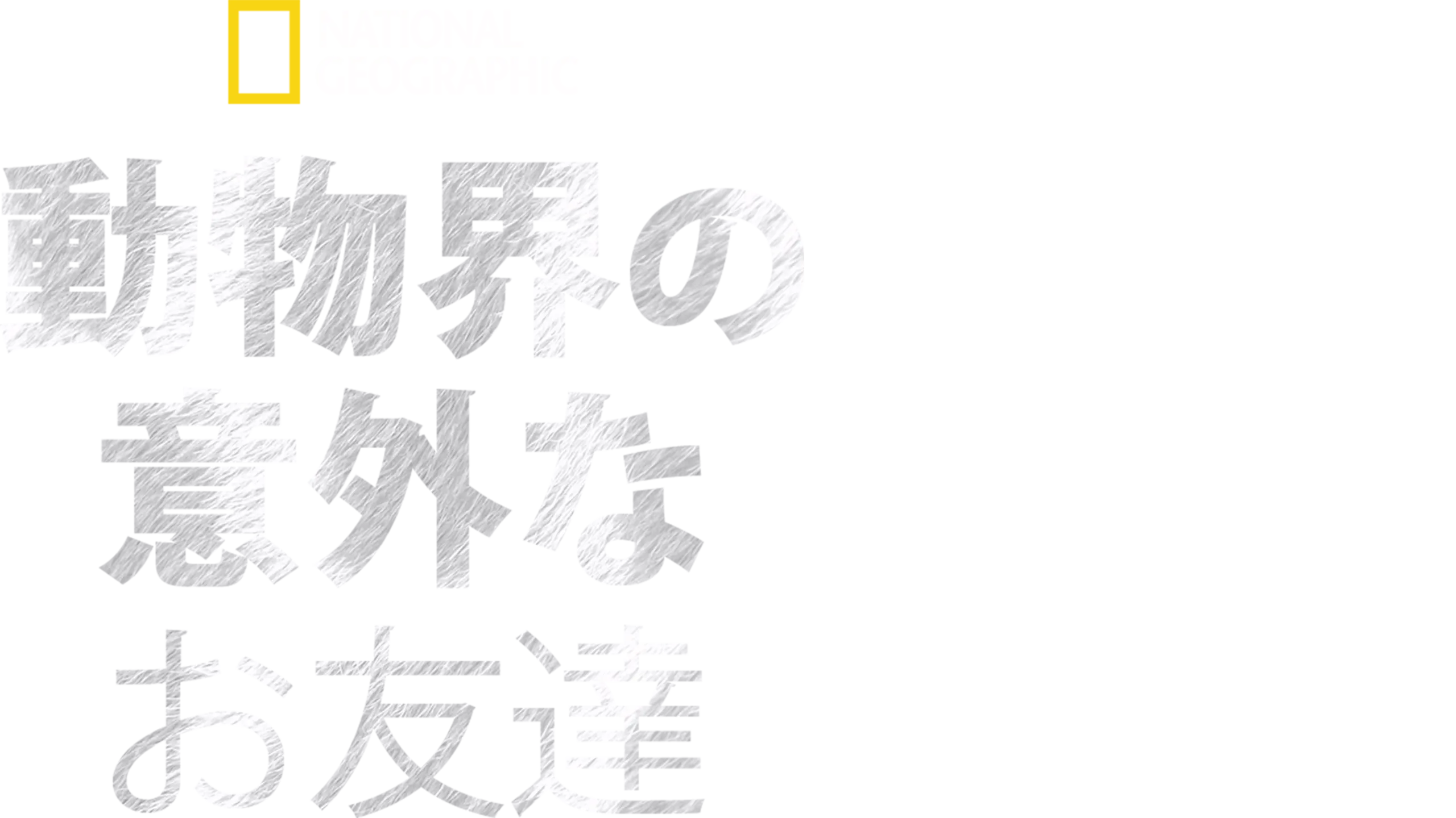 動物界の意外なお友達