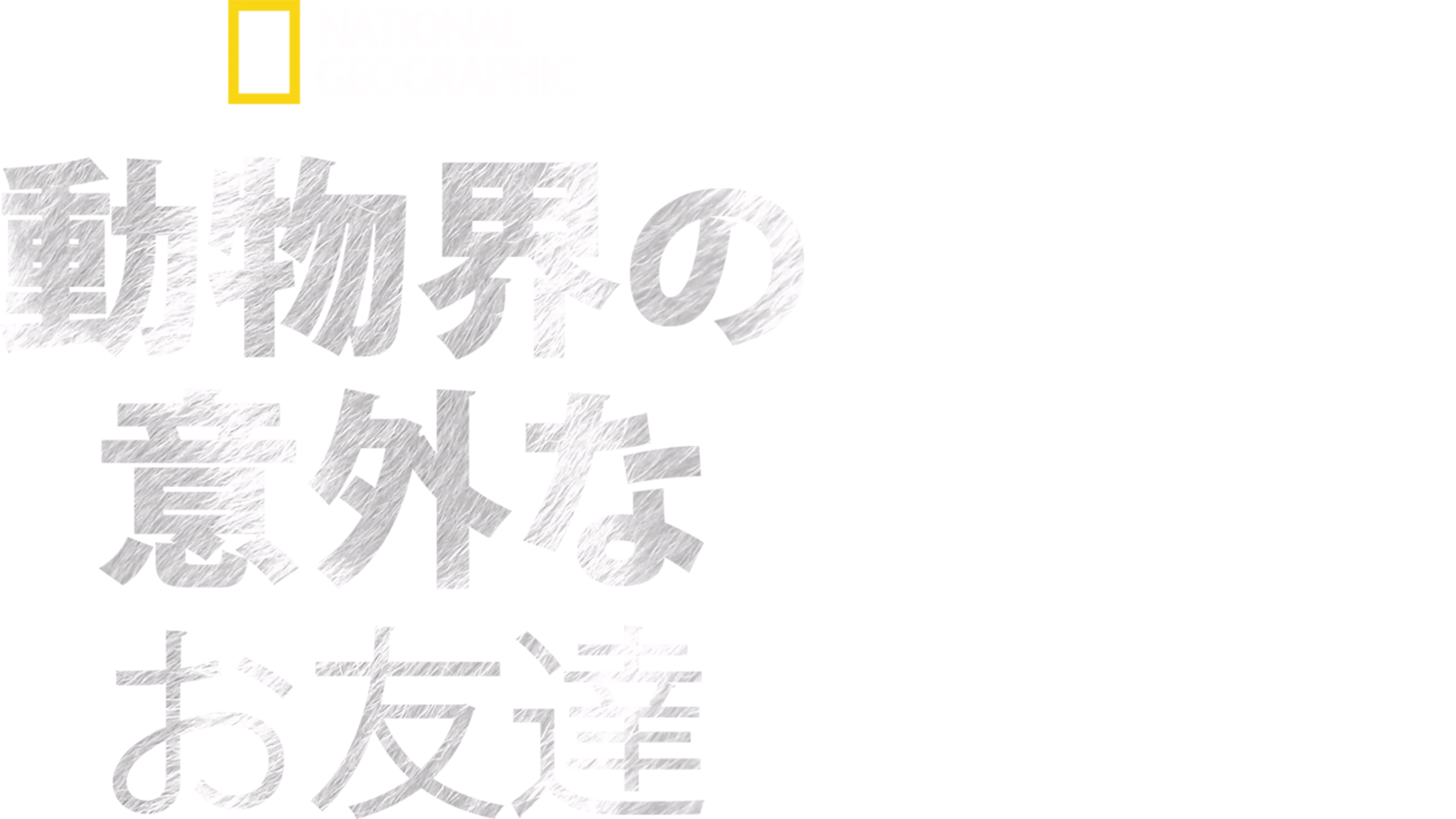 動物界の意外なお友達