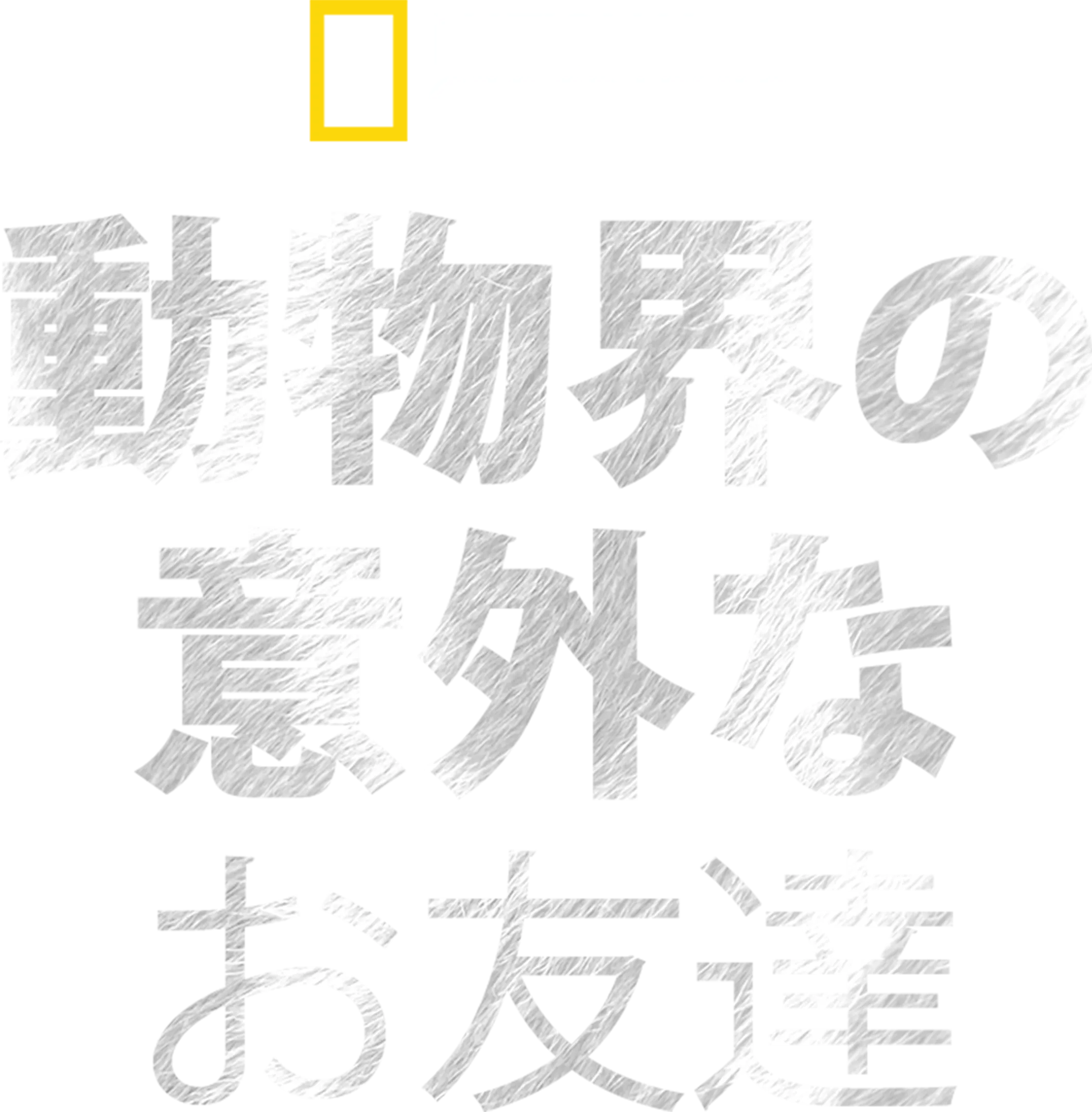 動物界の意外なお友達