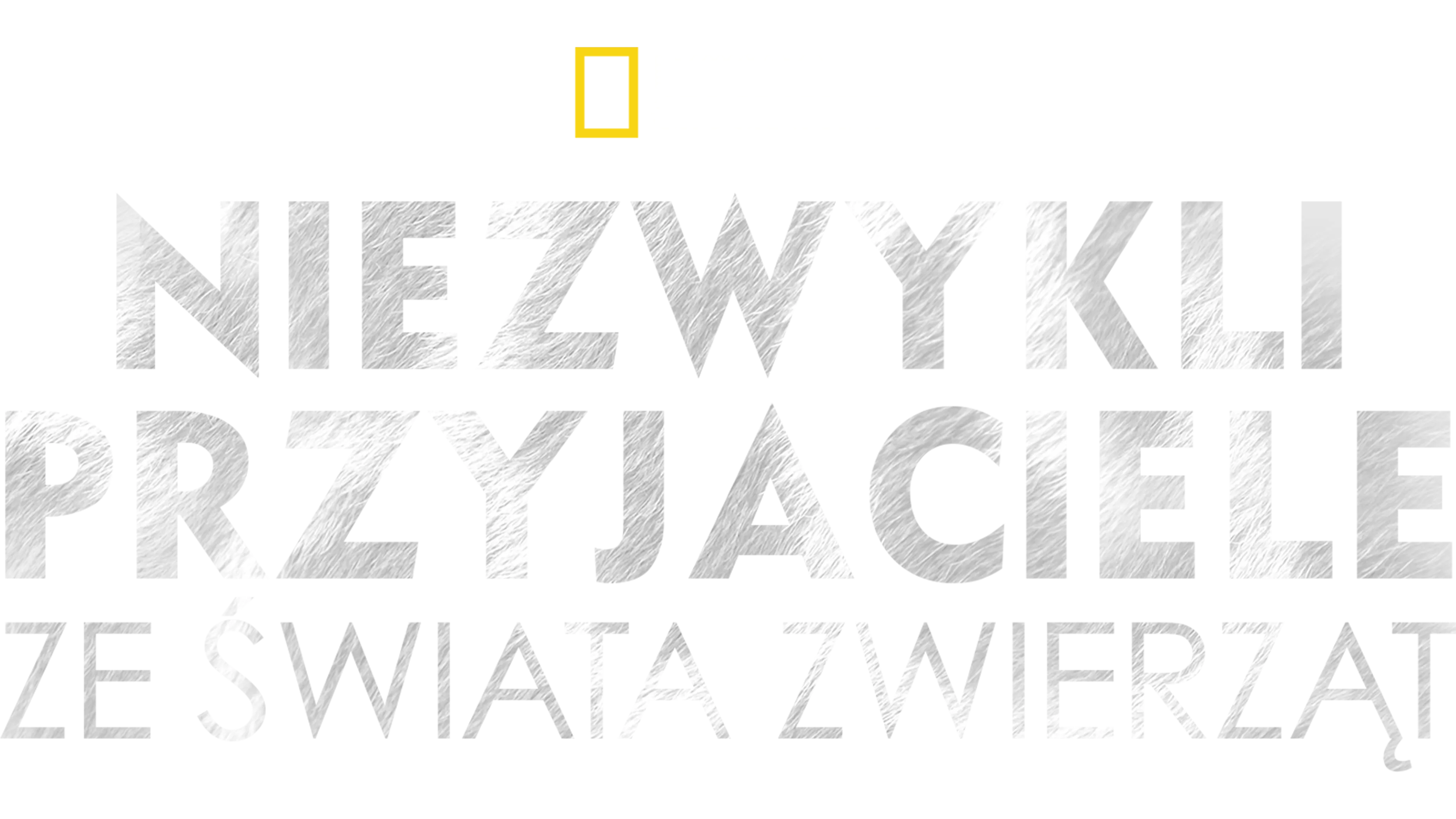 Niezwykli przyjaciele ze świata zwierząt