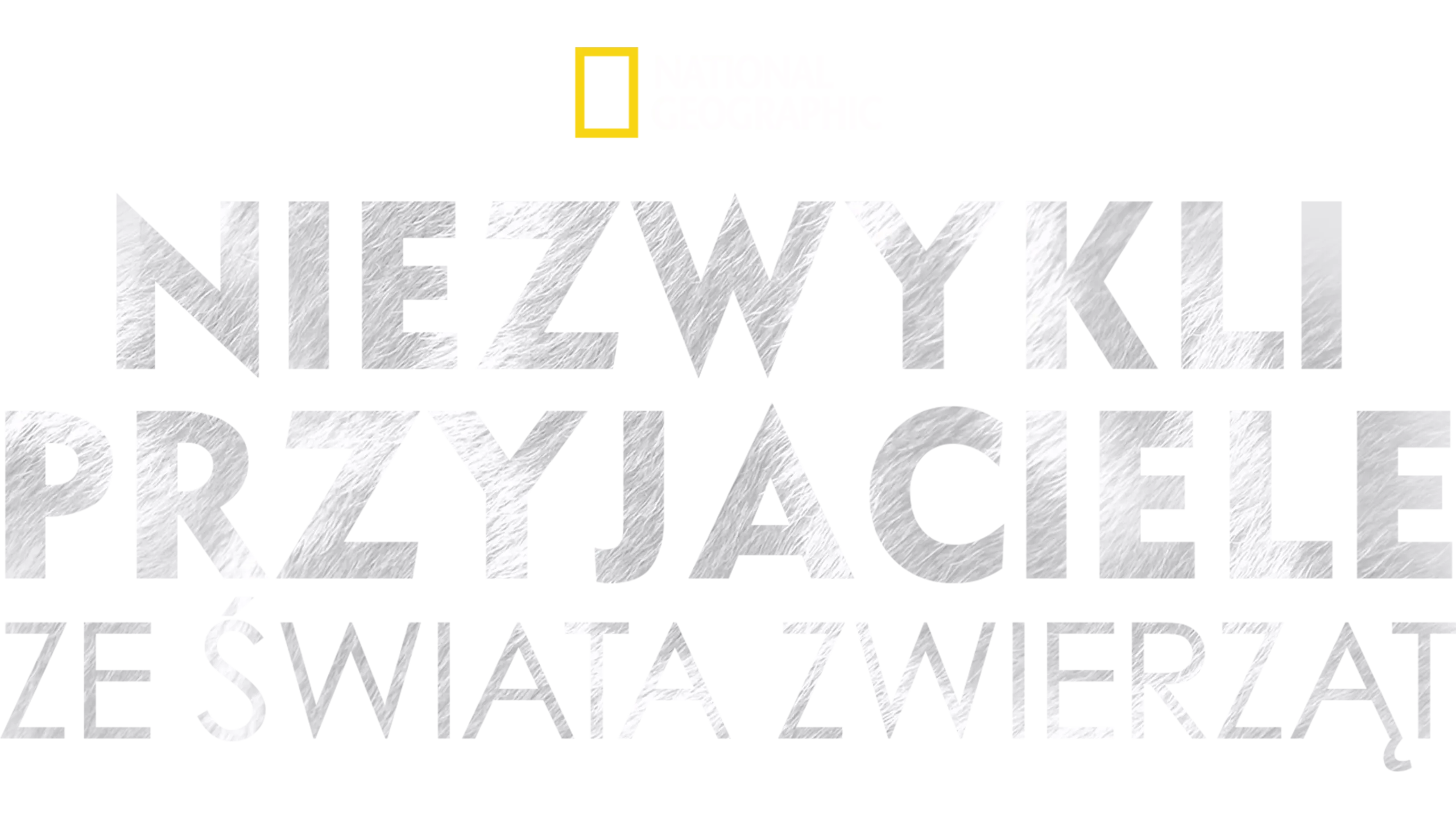 Niezwykli przyjaciele ze świata zwierząt