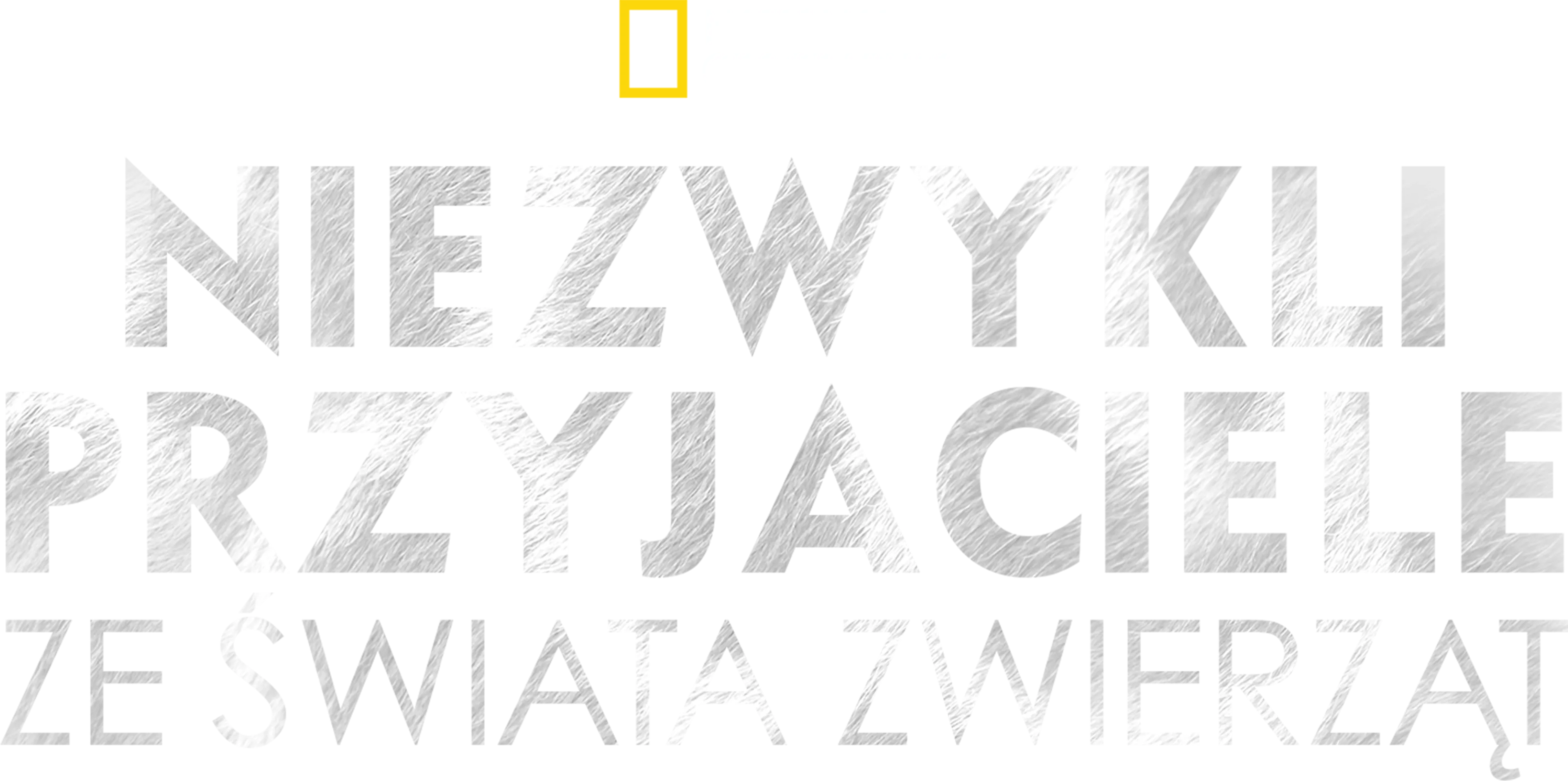 Niezwykli przyjaciele ze świata zwierząt