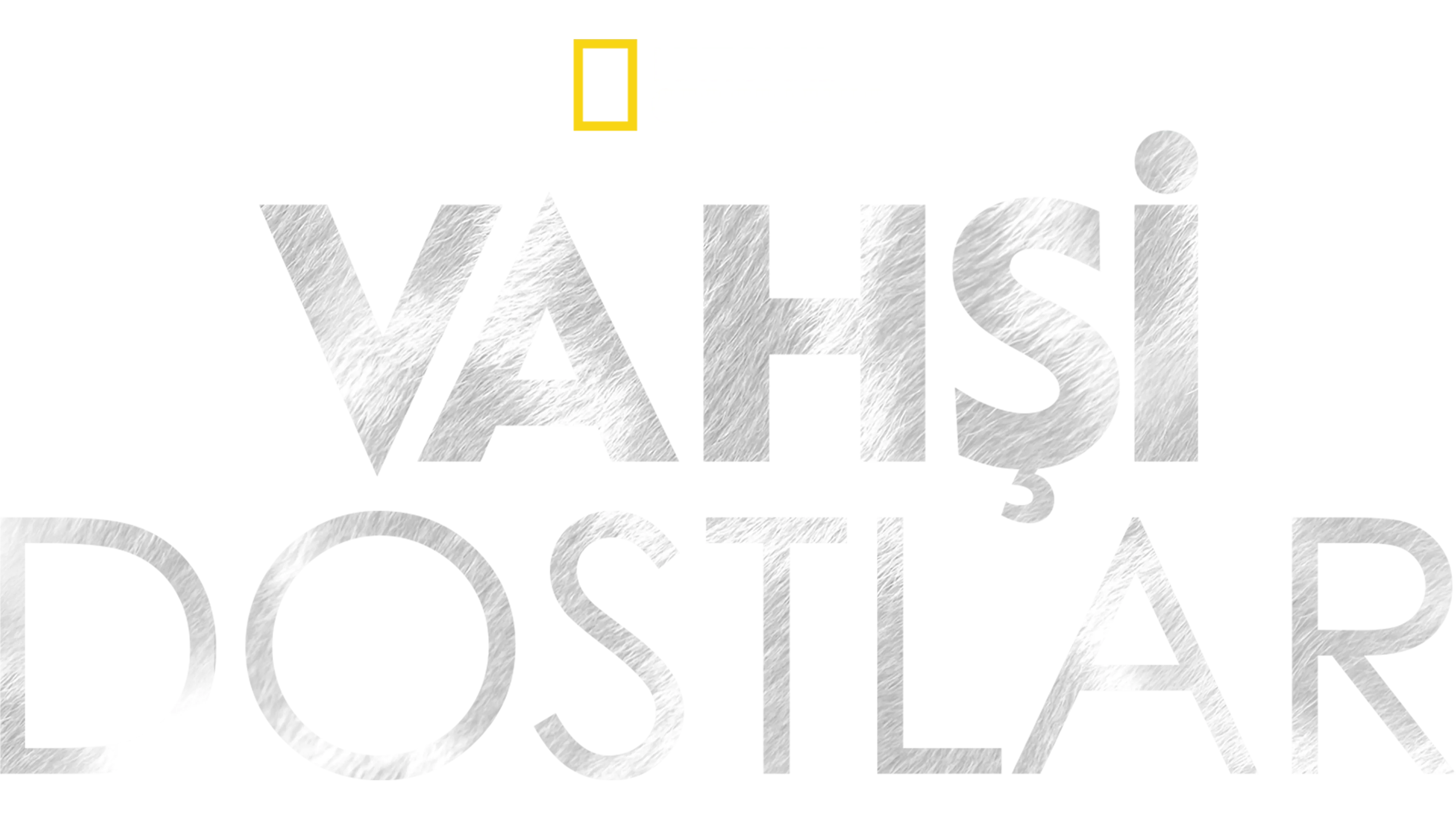 Vahşi Dostlar