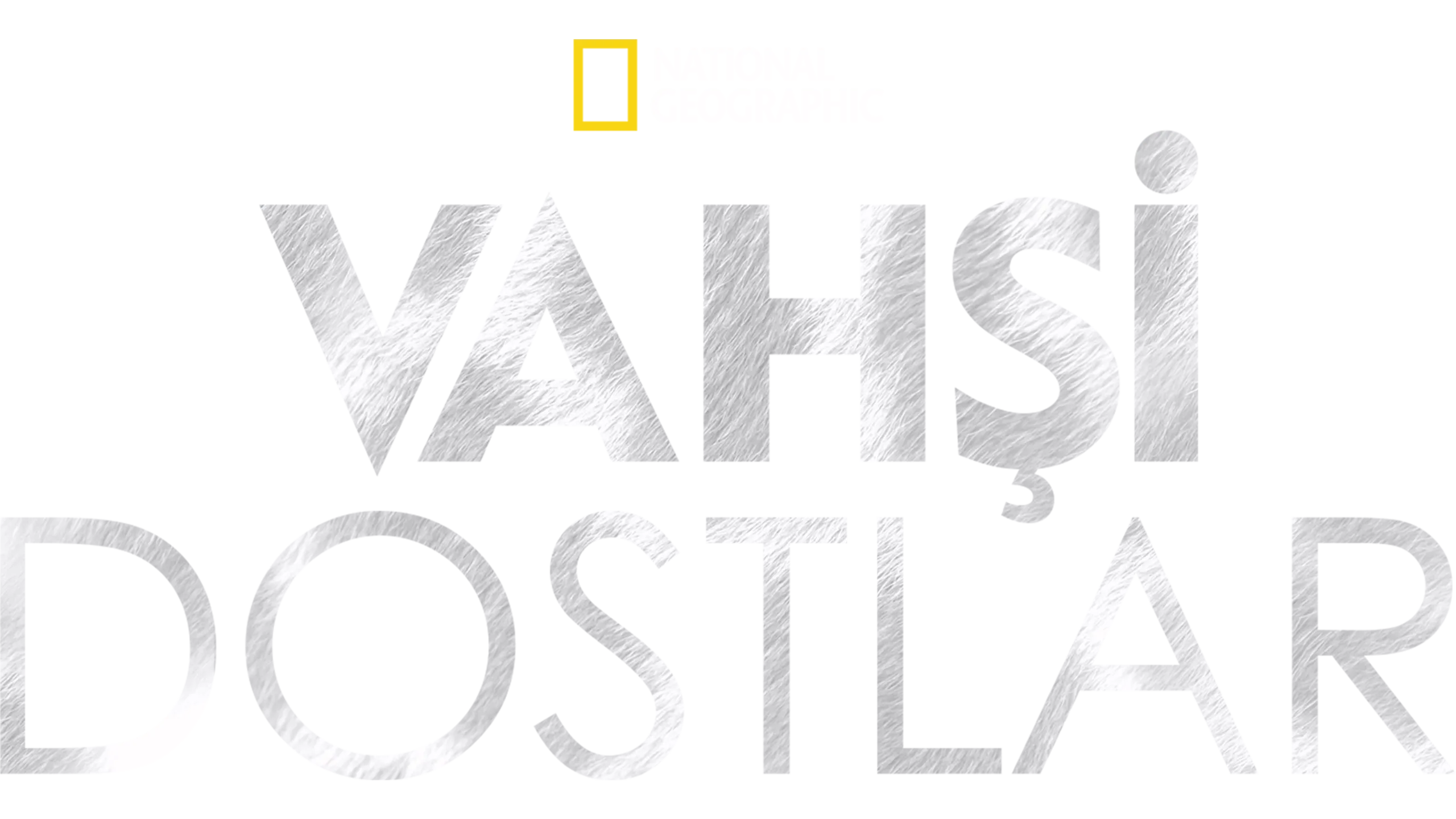 Vahşi Dostlar