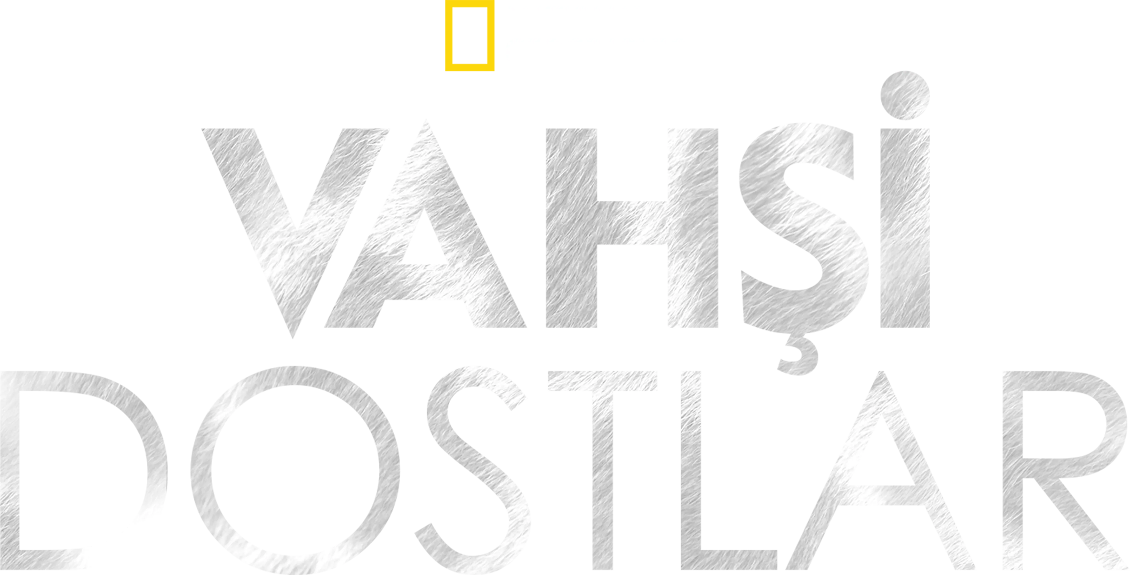 Vahşi Dostlar