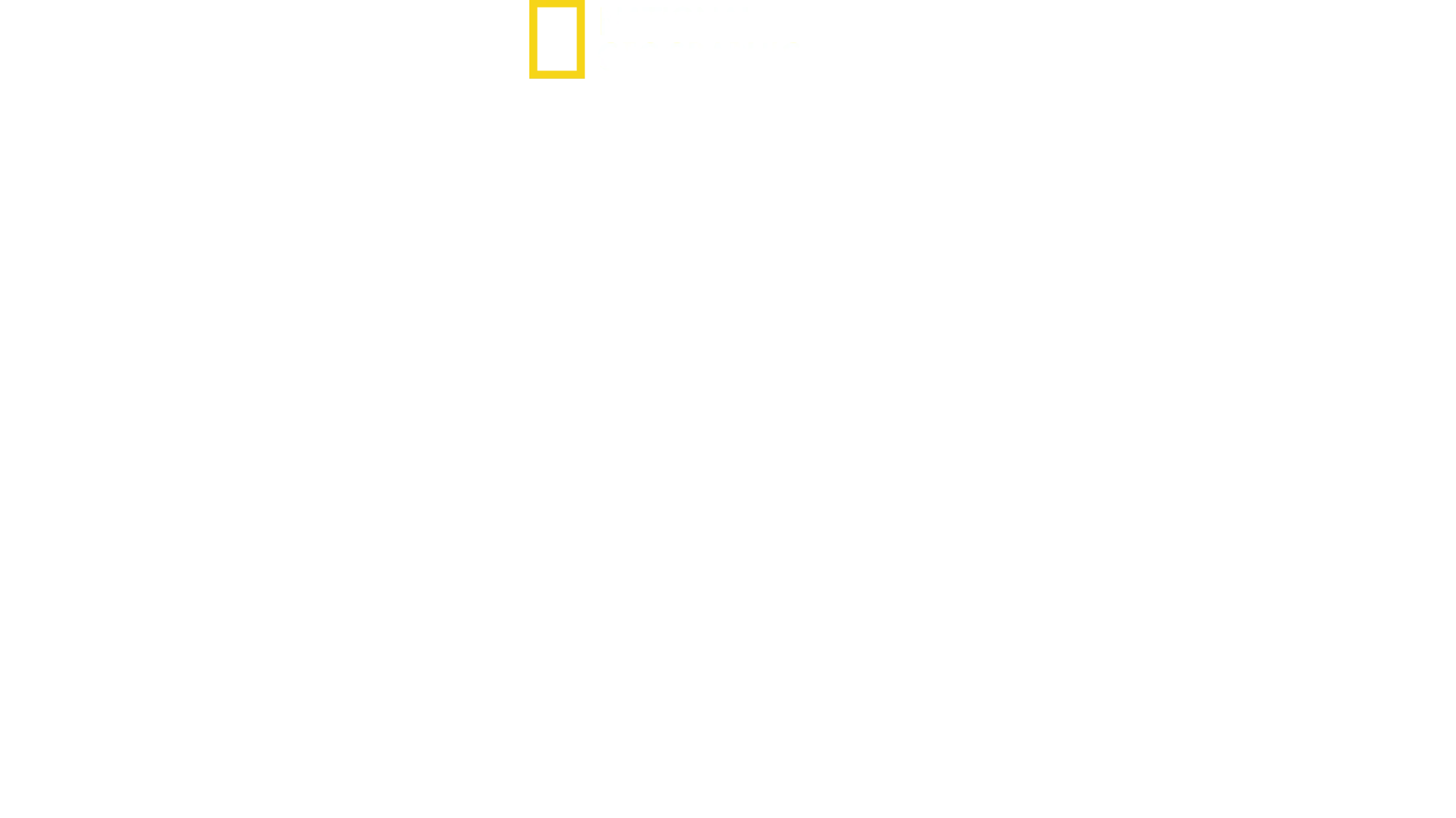 Inside Incredible Machines