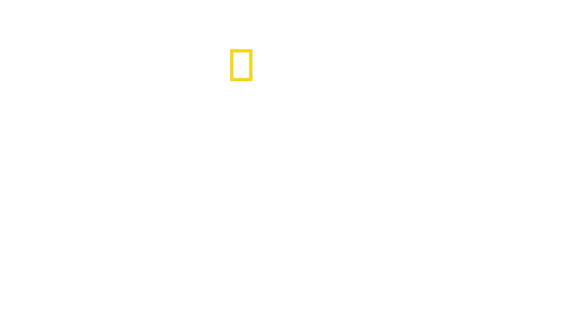 Uskomattomat koneet