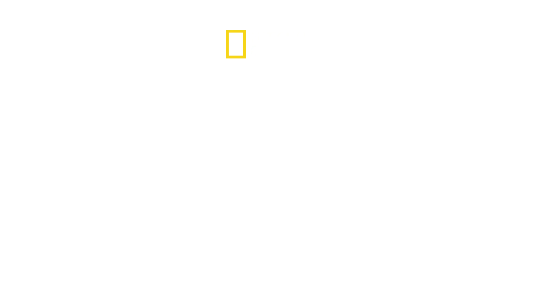 Verdens vildeste maskiner