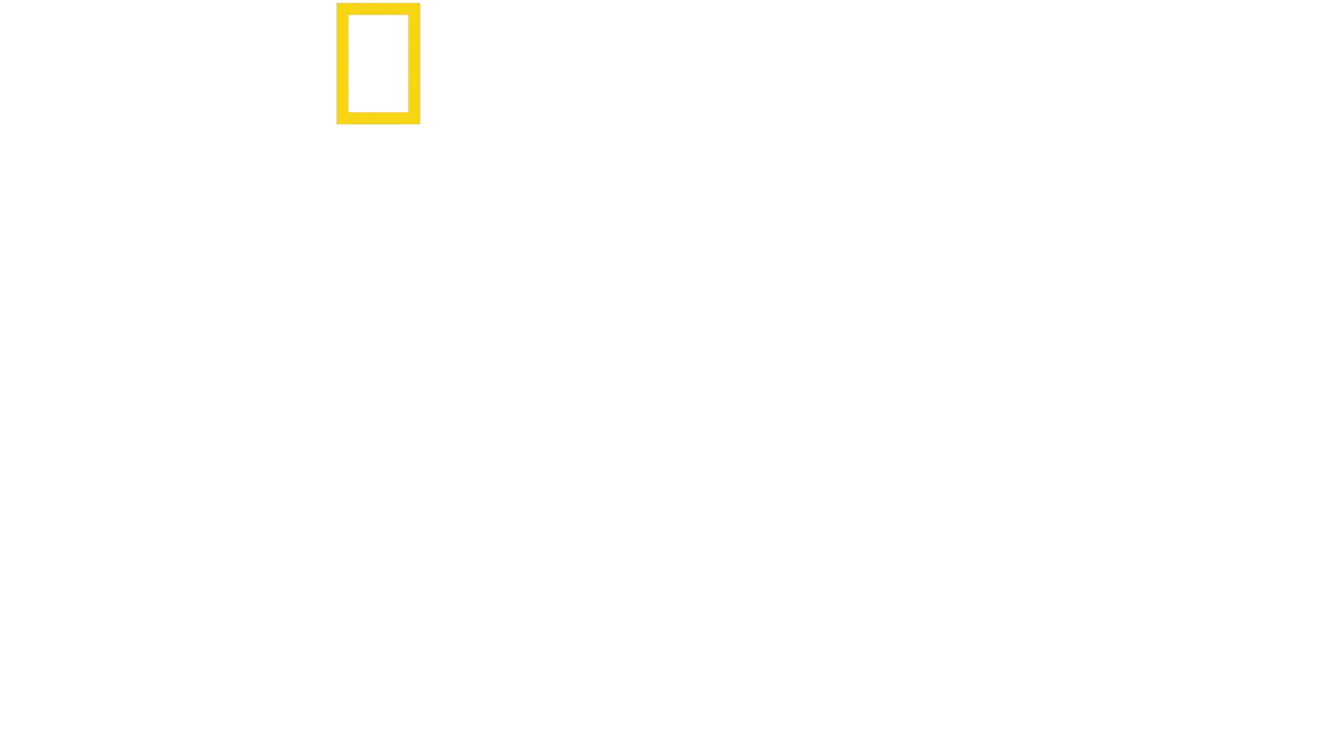 Spuren verlorener Städte mit Albert Lin