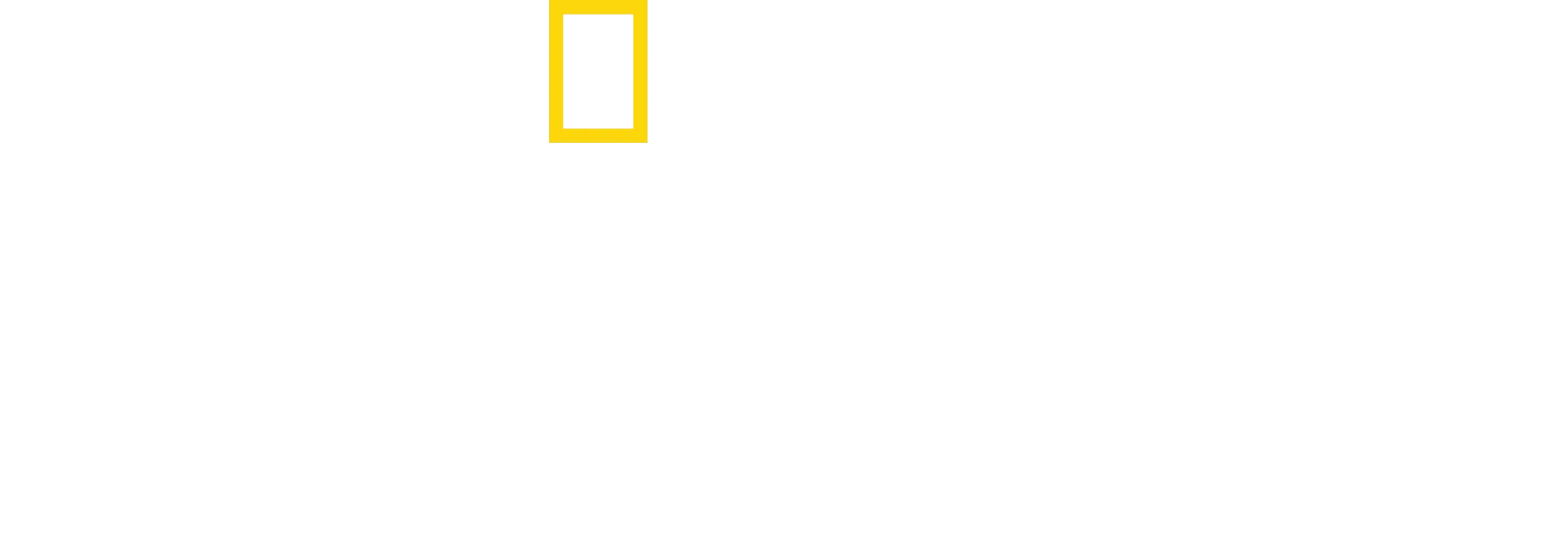 Albert Lin ja kadonneet kaupungit