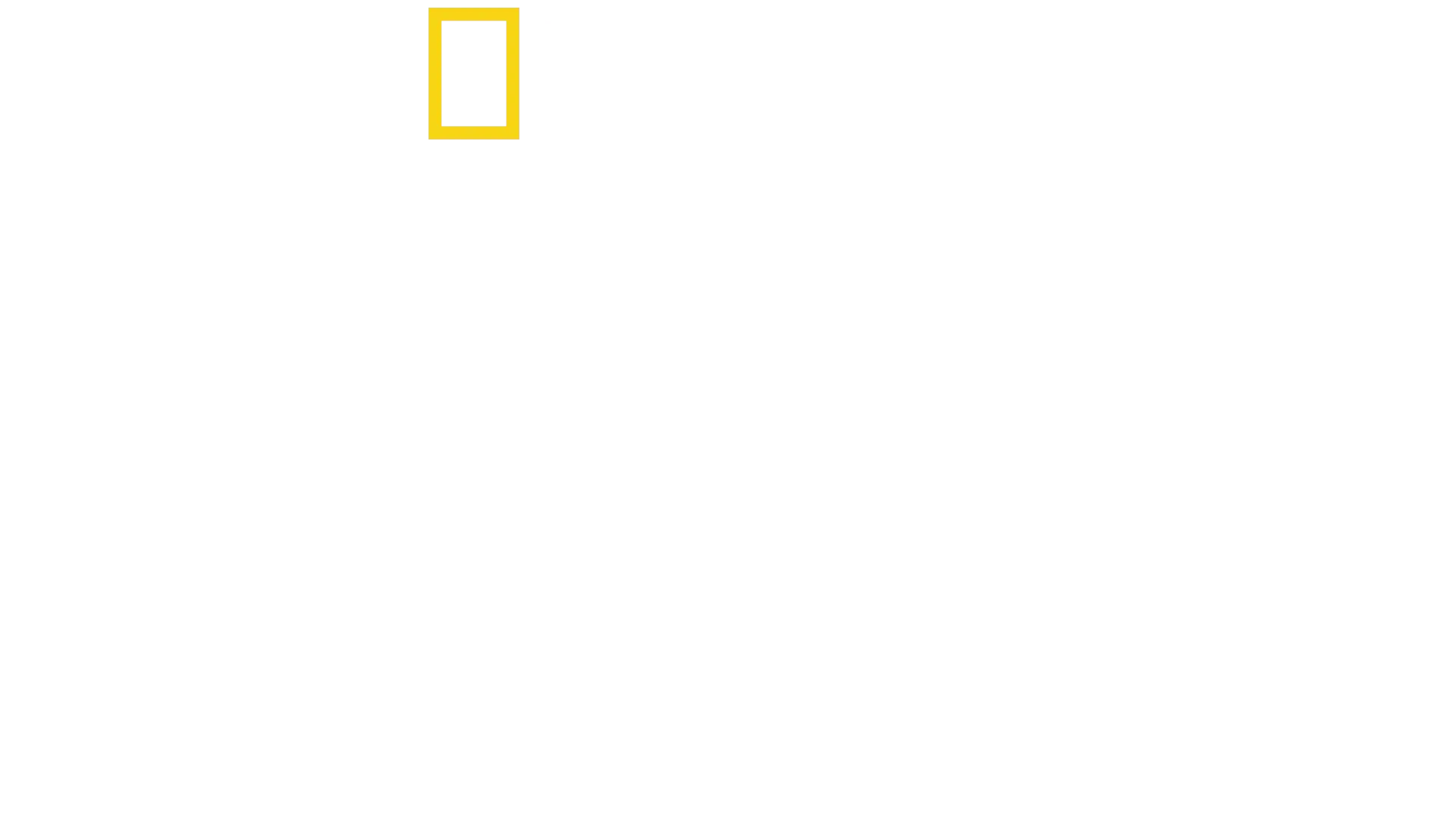 Les cités perdues d'Albert Lin