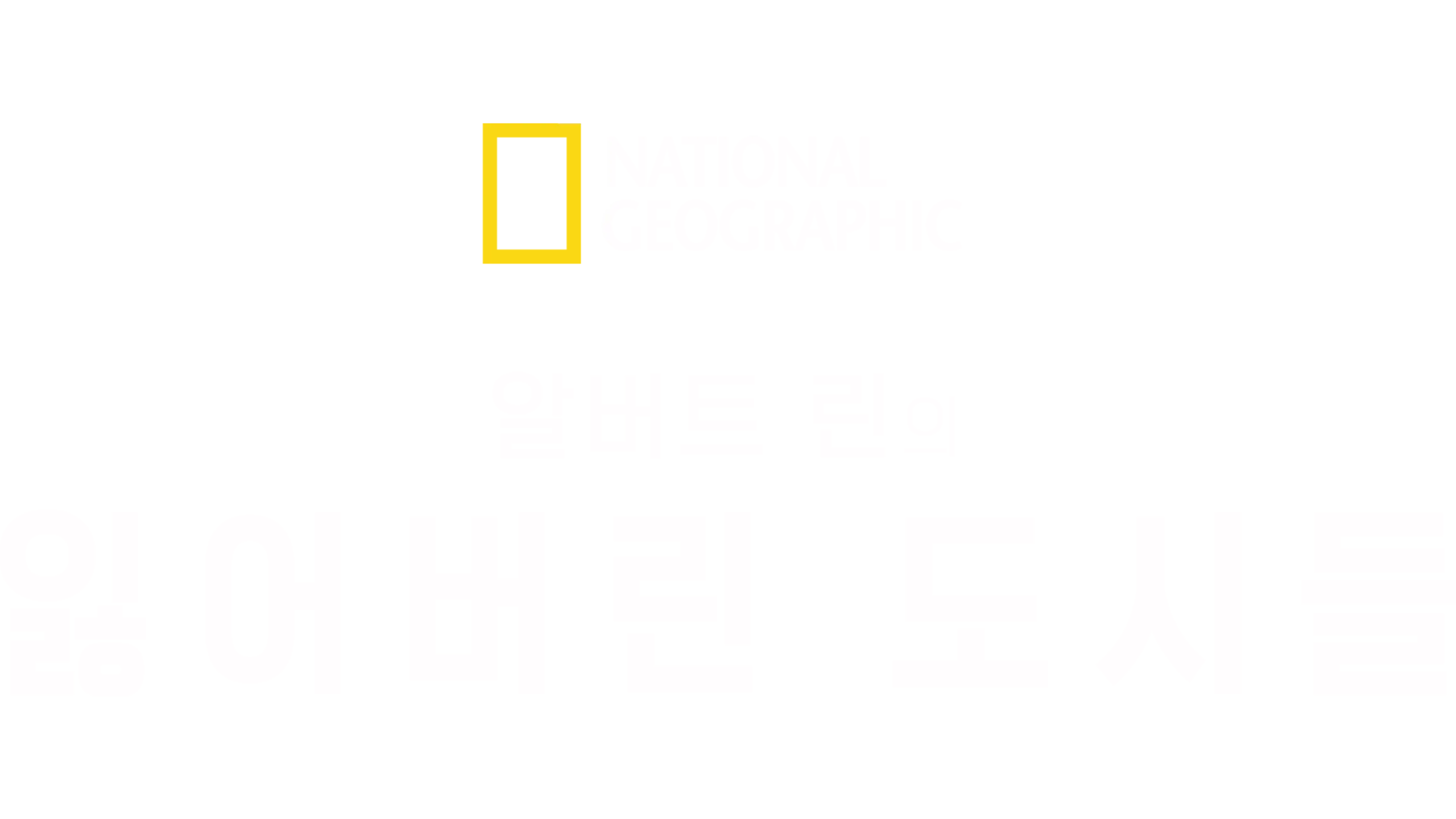 알버트 린의 잃어버린 도시들