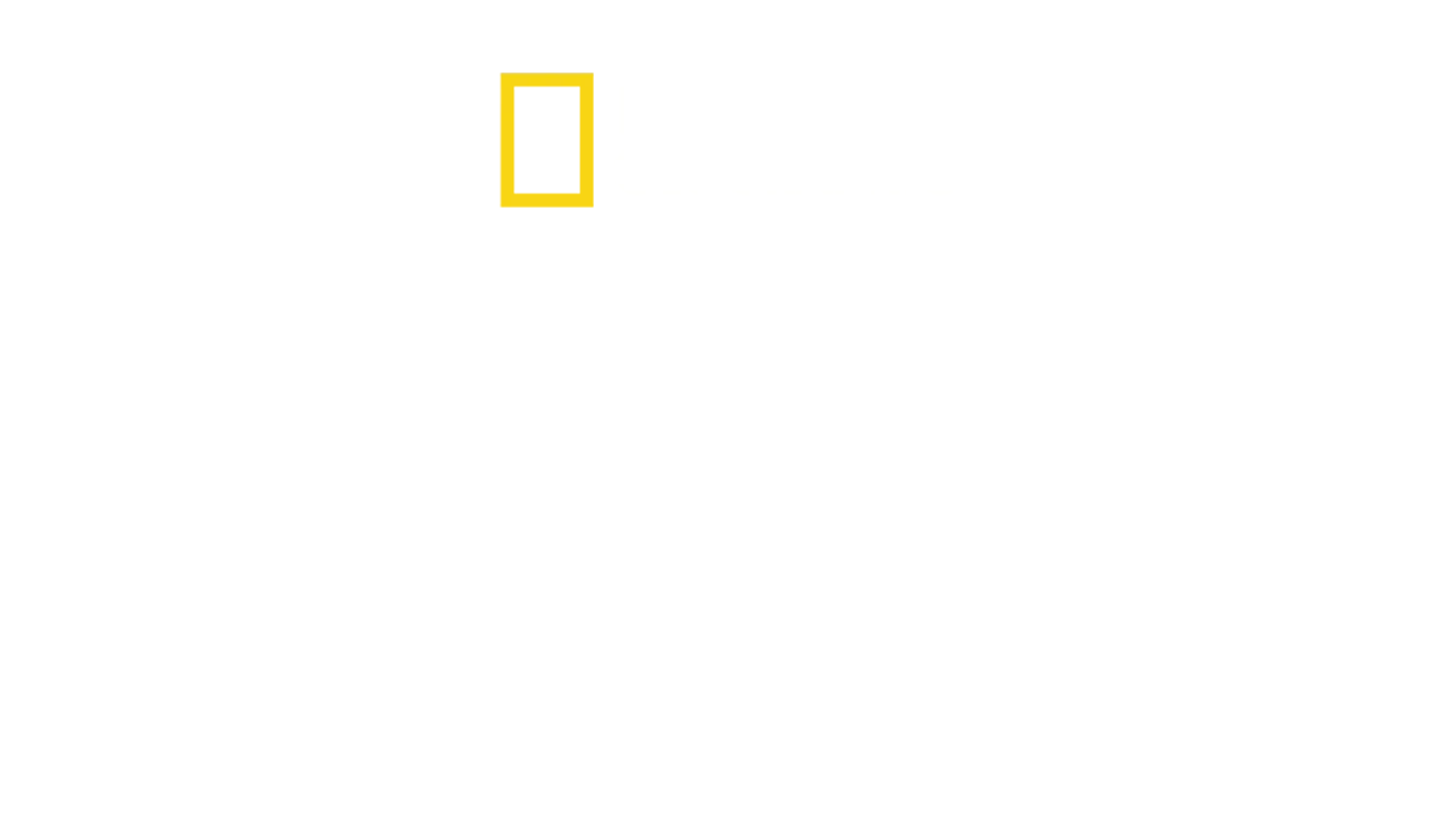 Mistérios da Antiguidade com Albert Lin