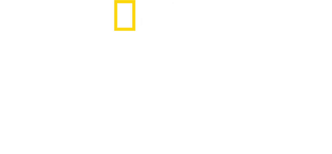 Mistérios da Antiguidade com Albert Lin