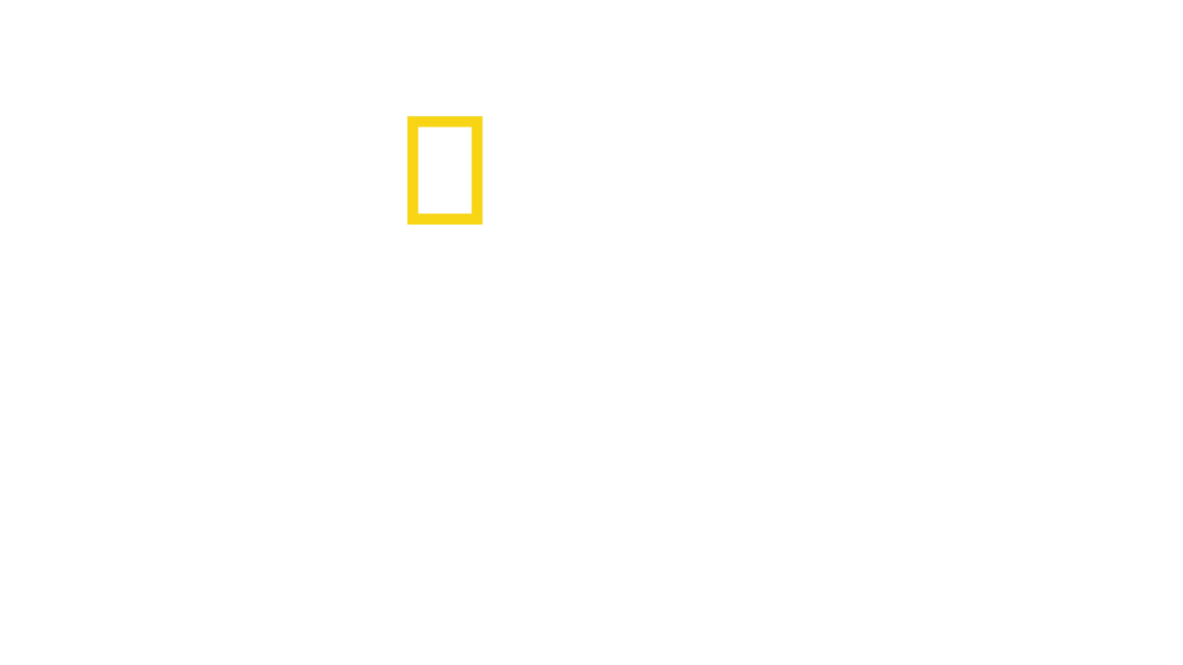 Orașe pierdute, cu Albert Lin