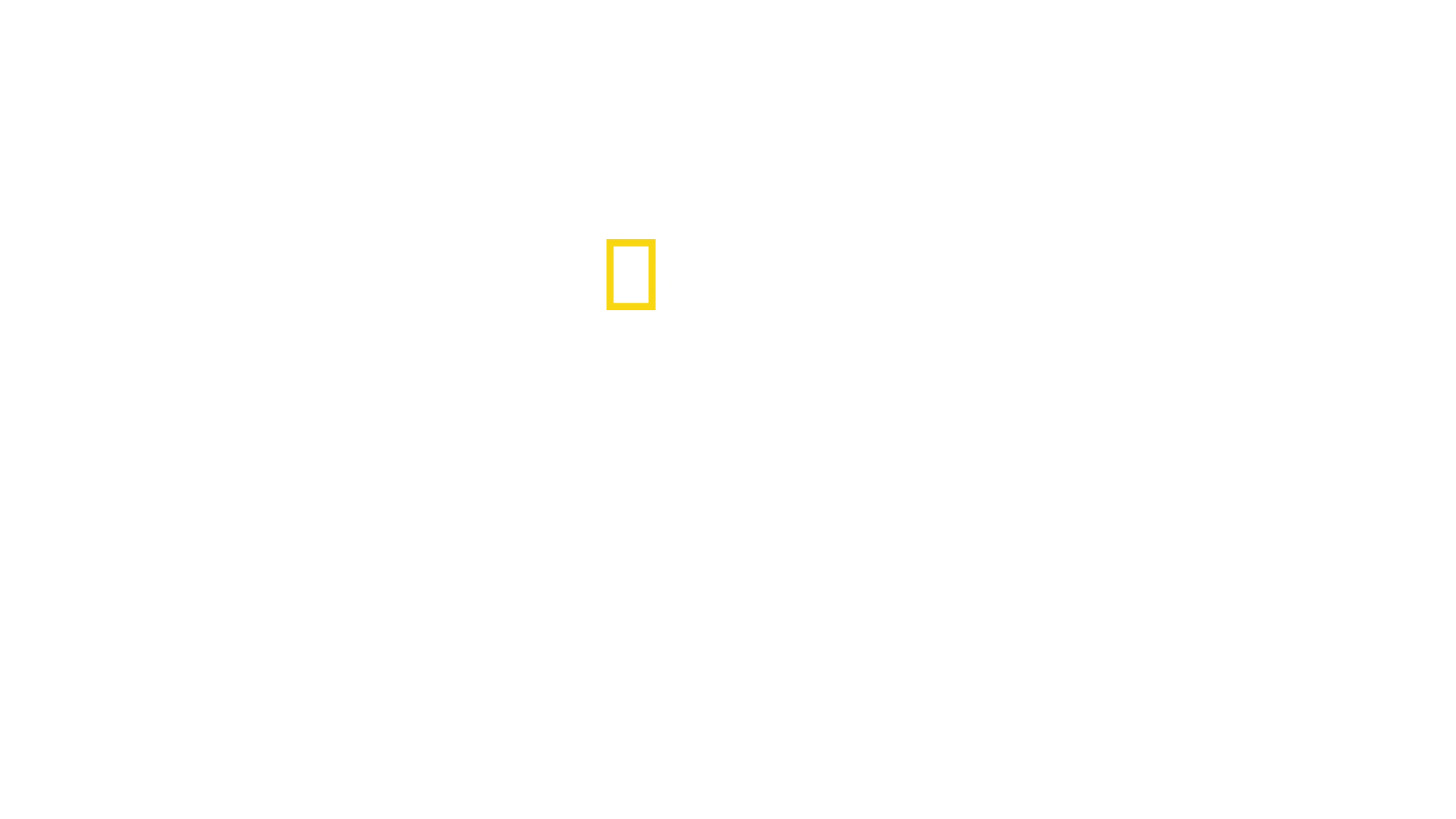 Csodálatos landolás a Hudson folyón
