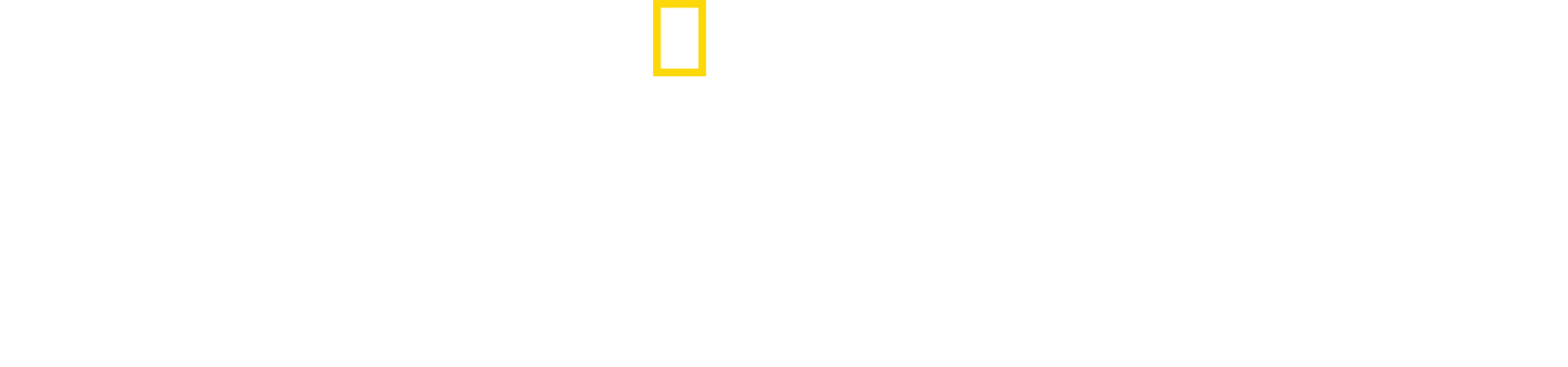 Csodálatos landolás a Hudson folyón