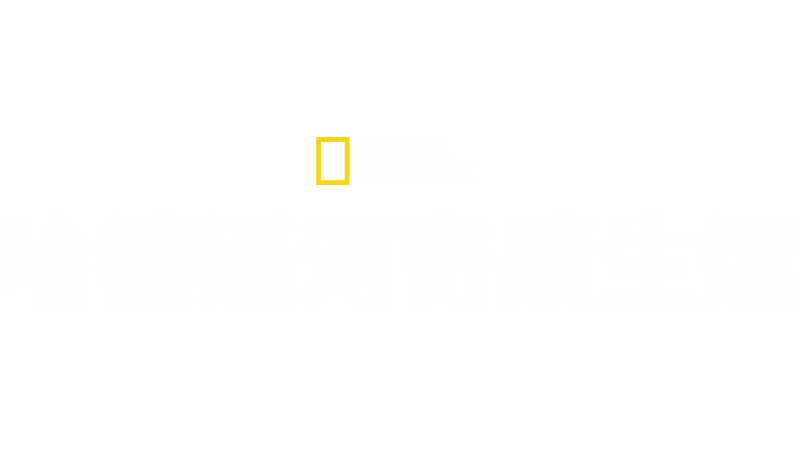 哈德遜河奇蹟生還