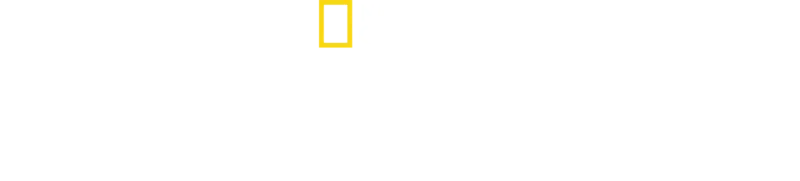 ハドソン川の奇跡