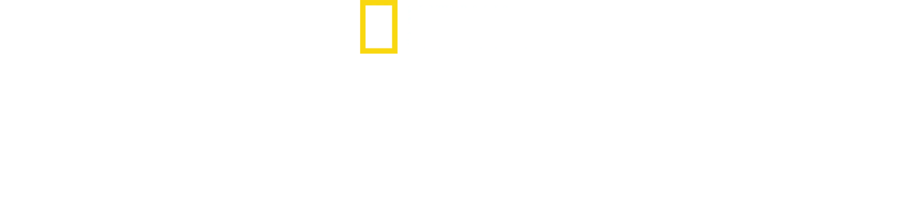 ハドソン川の奇跡