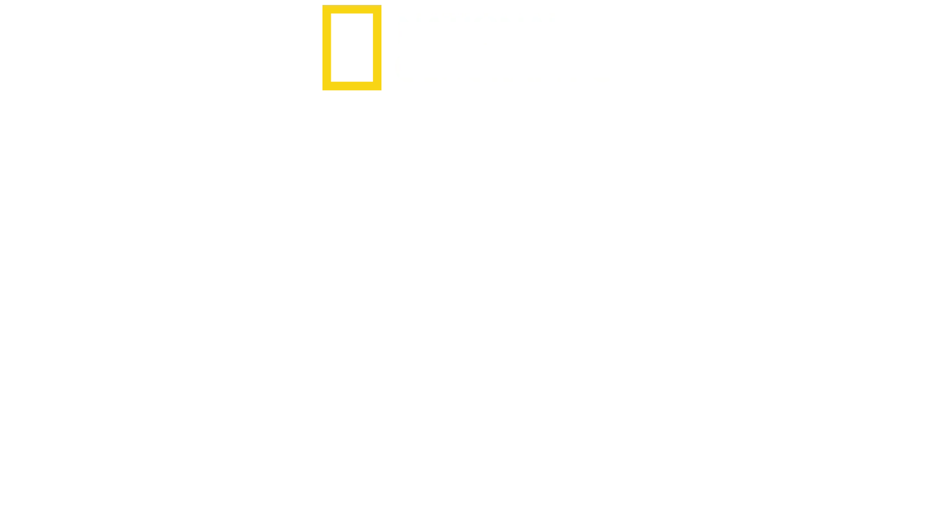 Förlorade städer med Albert Lin