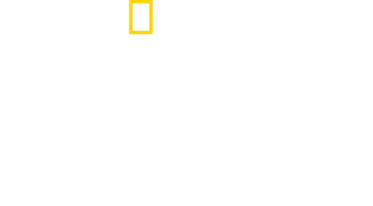 Förlorade städer med Albert Lin