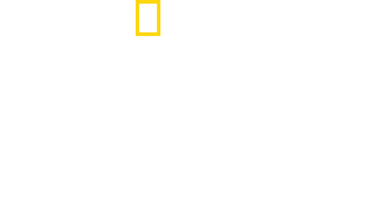 Förlorade städer med Albert Lin