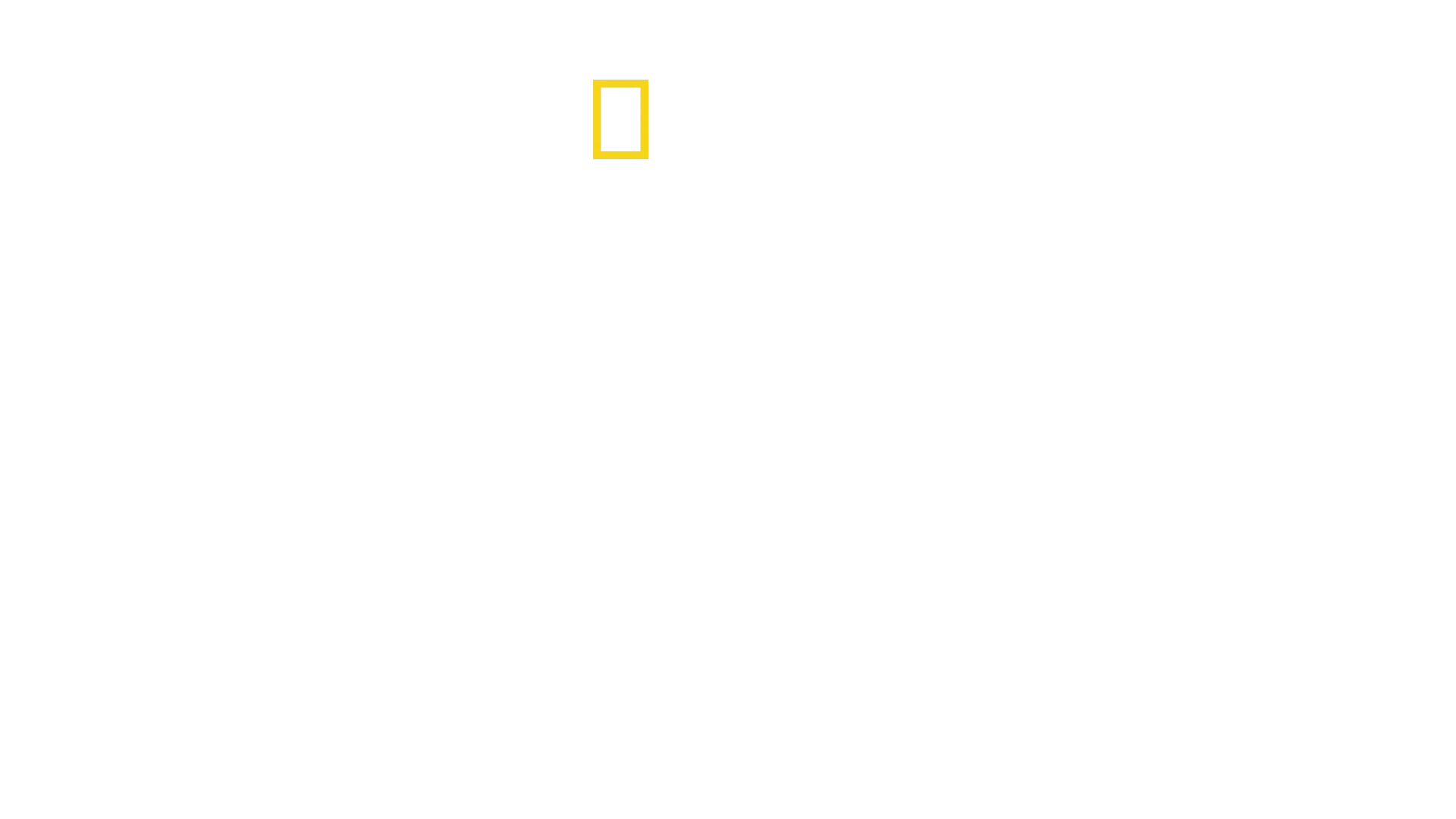 Bloody Tales of Europe