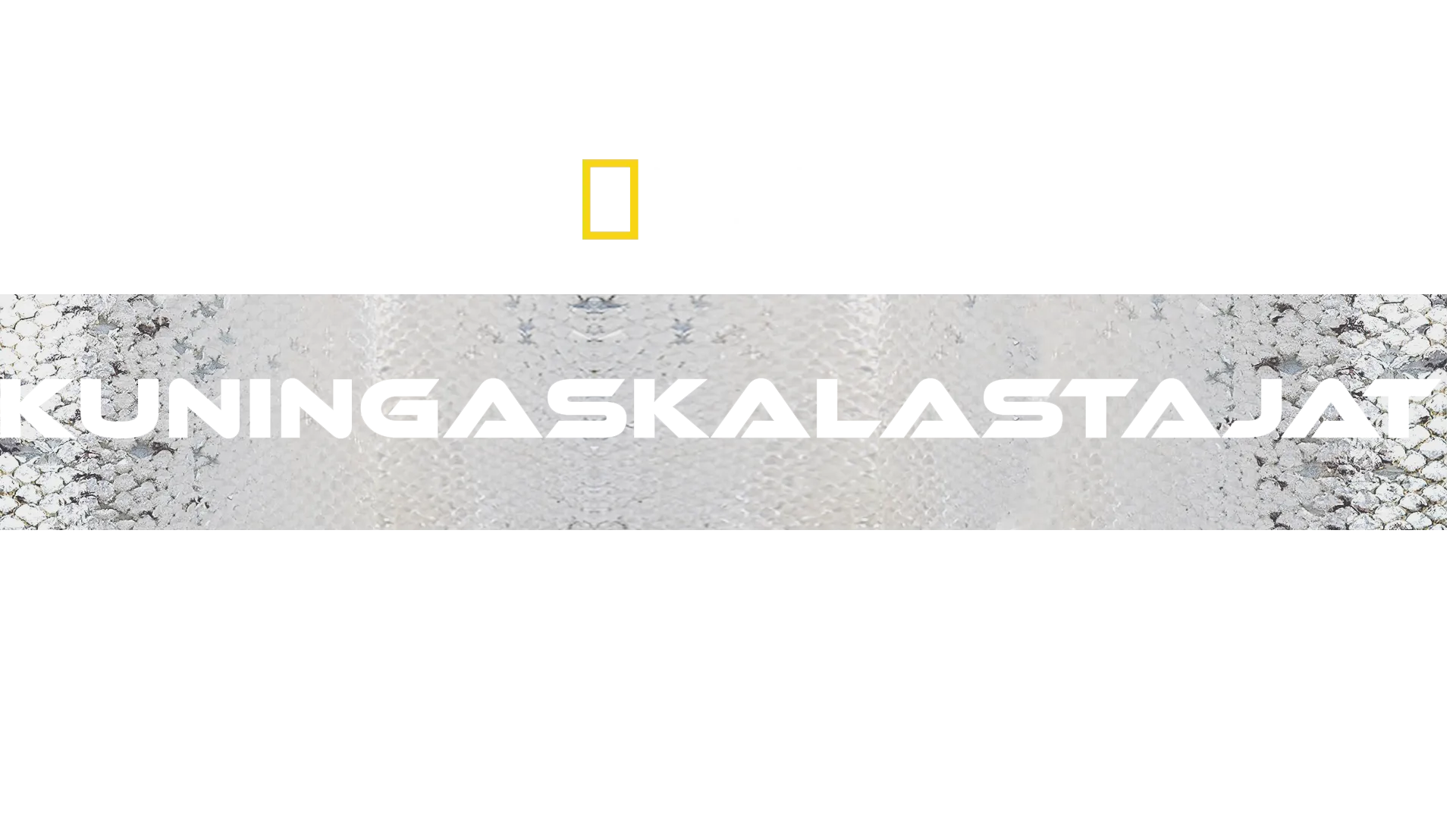Kuningaskalastajat