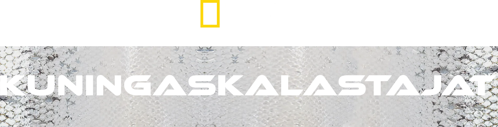 Kuningaskalastajat