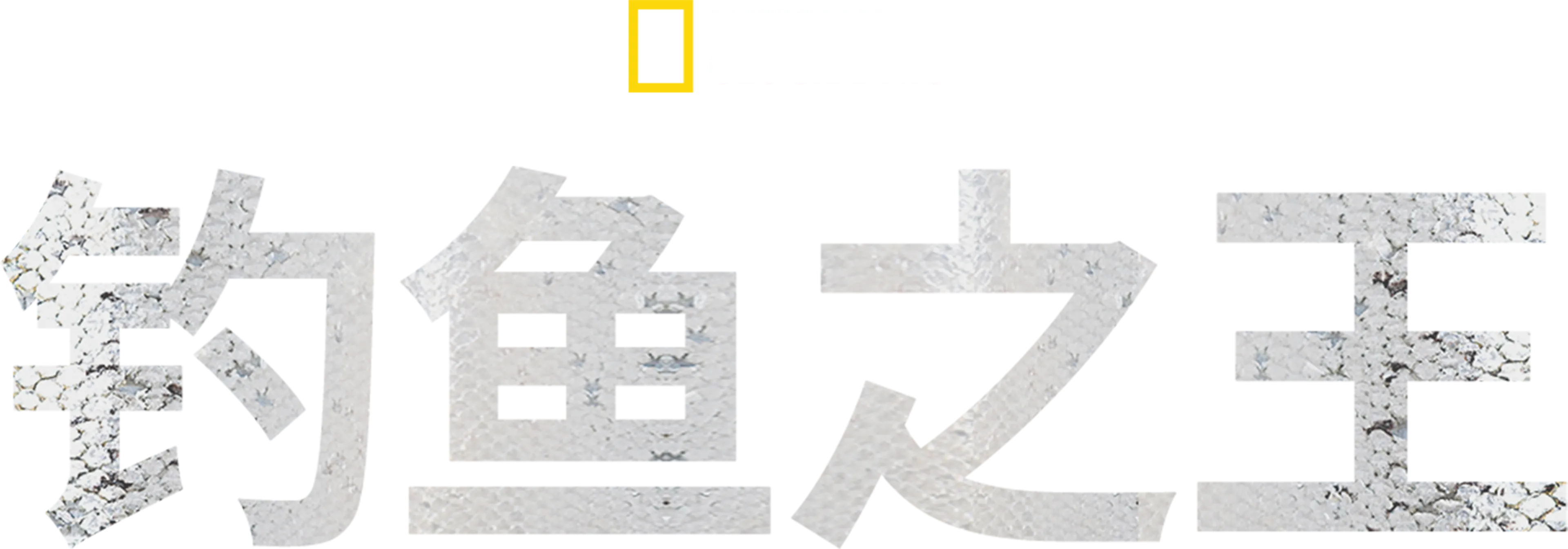 钓鱼之王