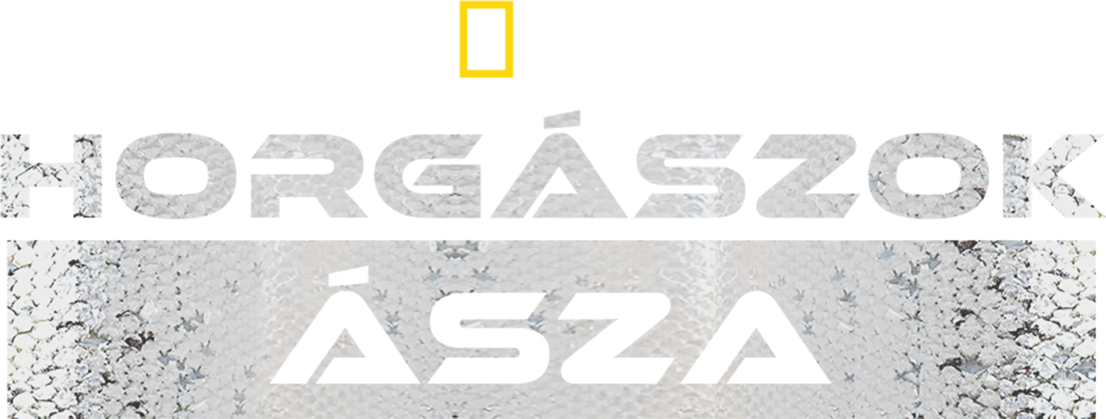 Horgászok Ásza