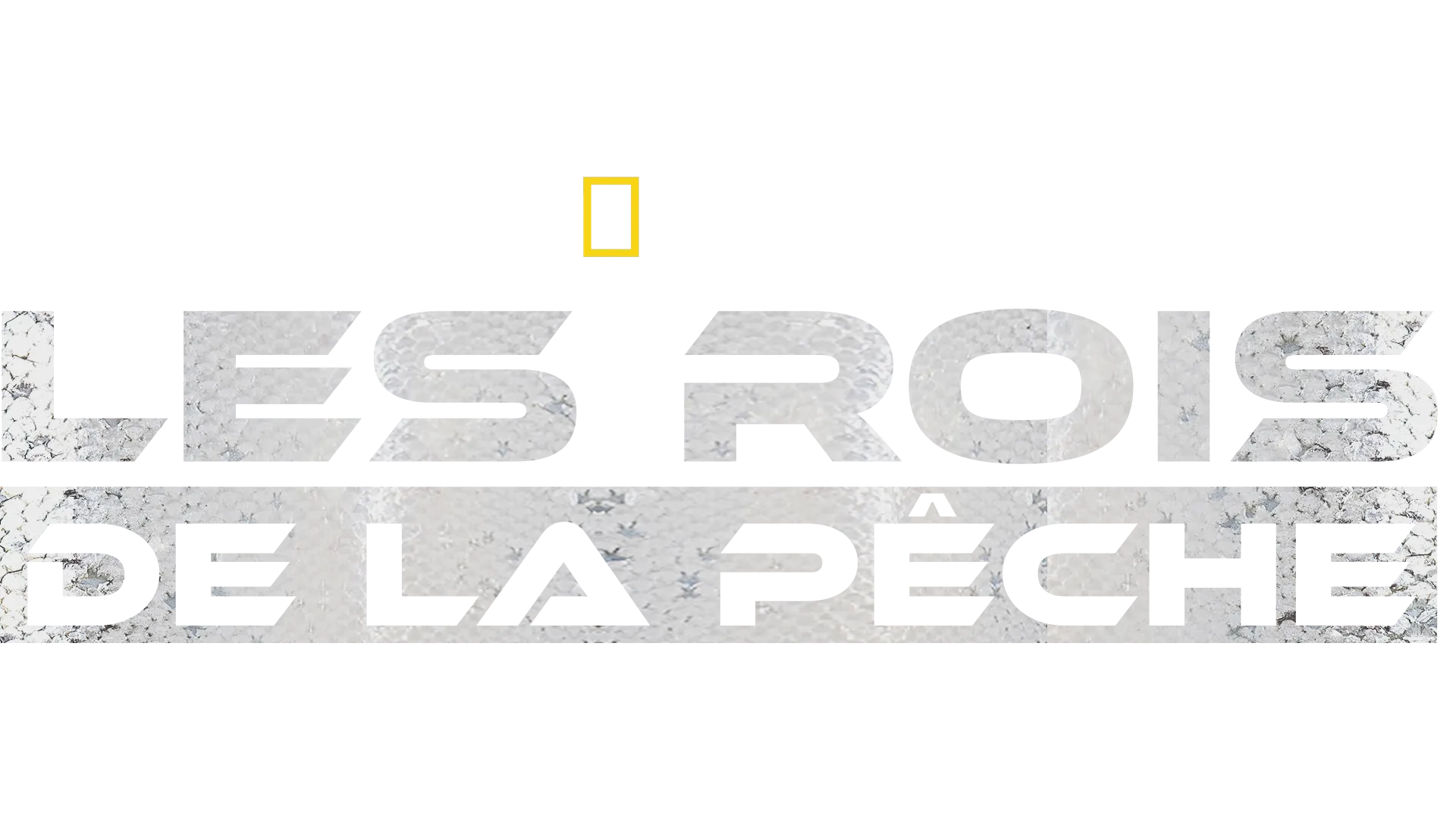 Les rois de la pêche
