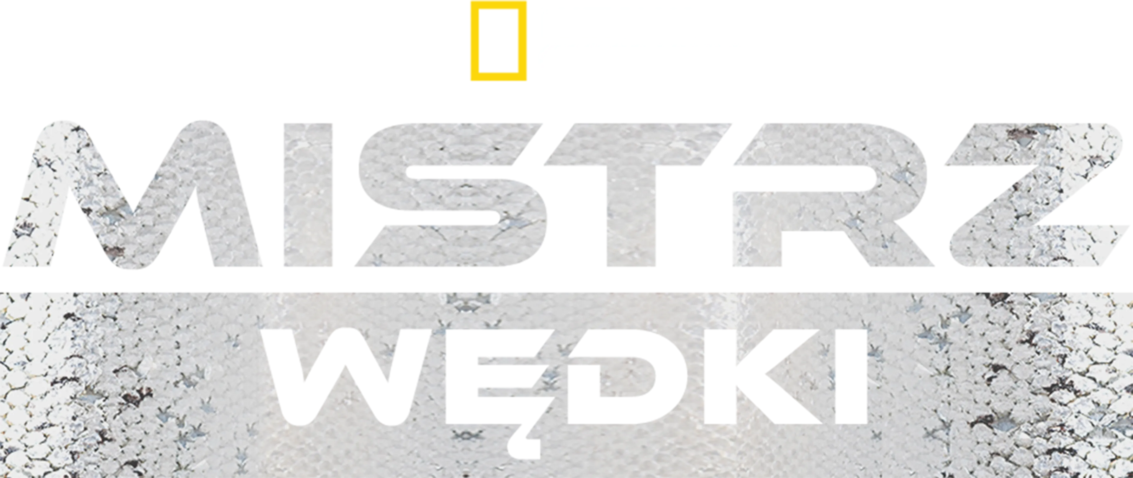 Mistrz wędki