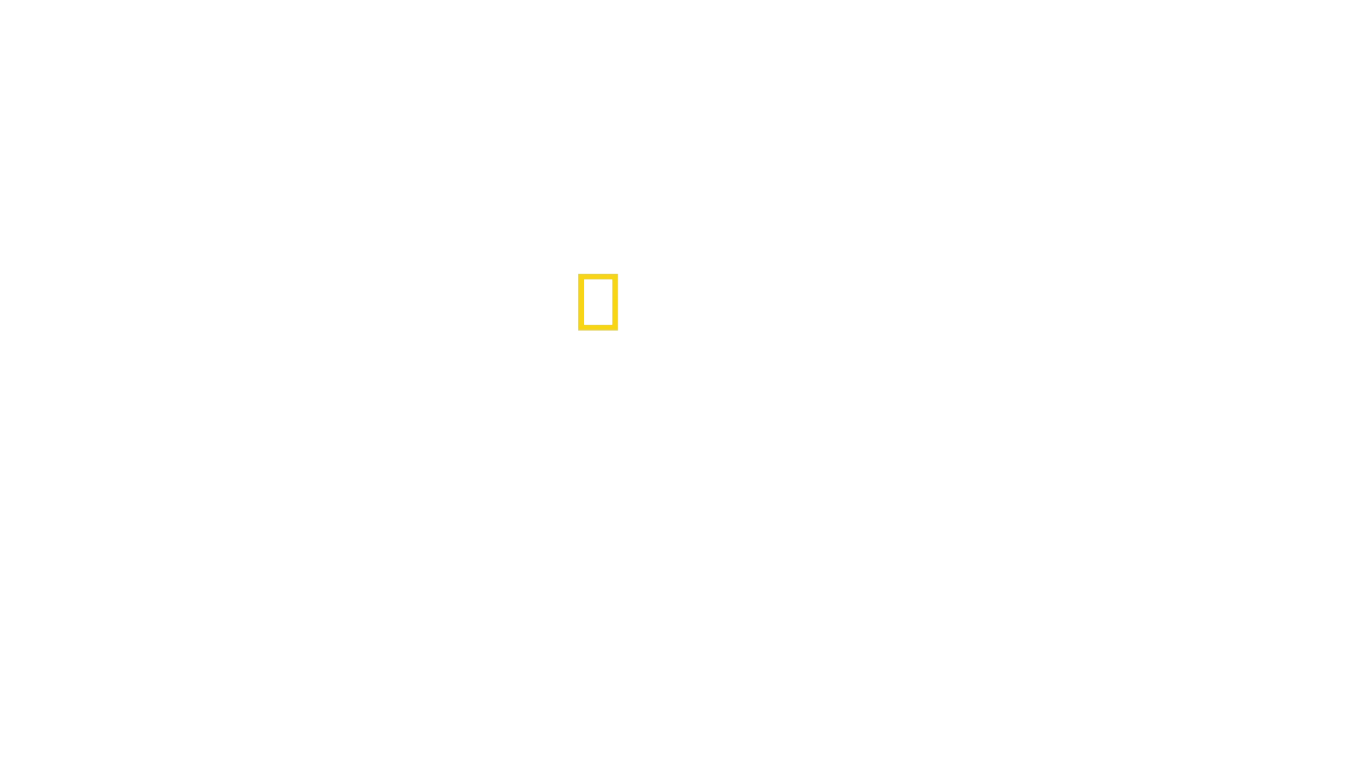 Punto di non ritorno