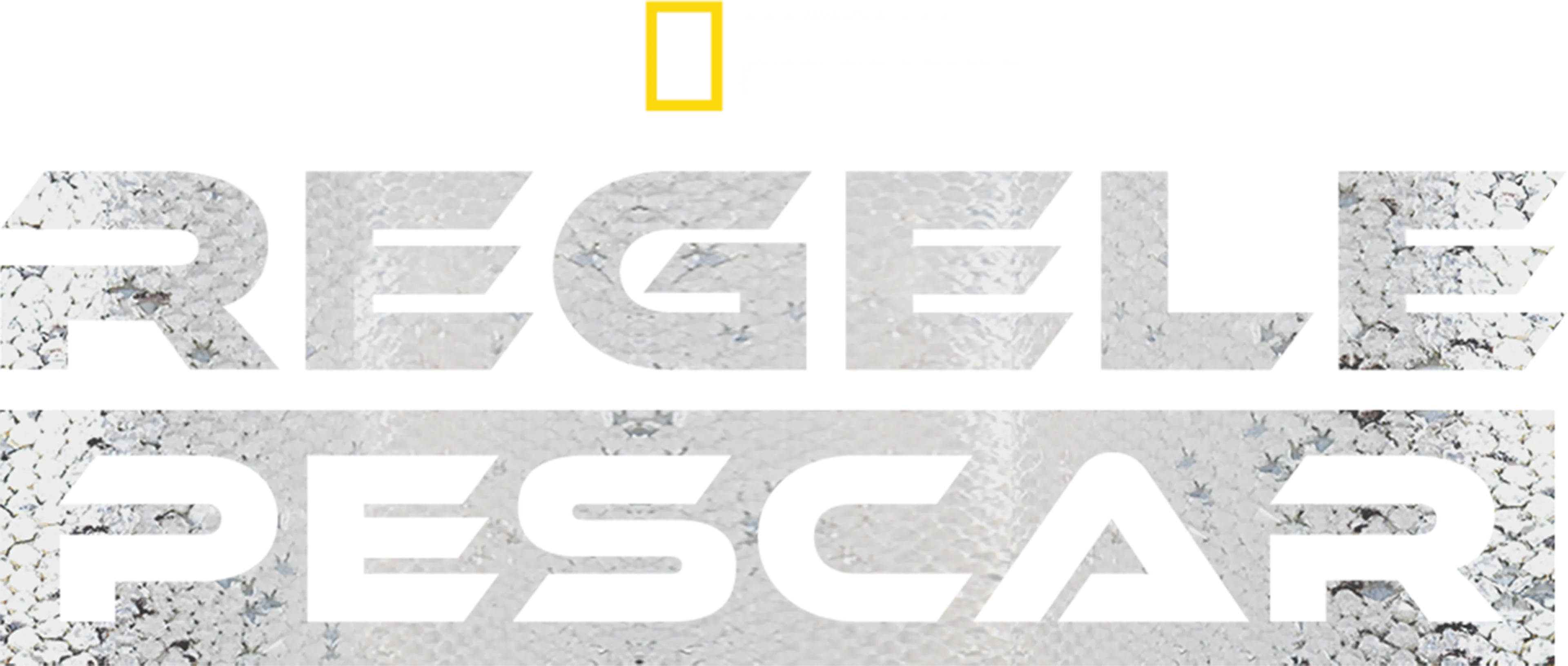 Regele pescar