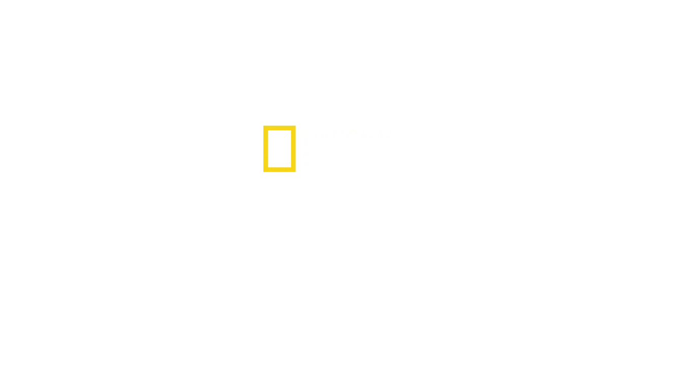 Seremos História?