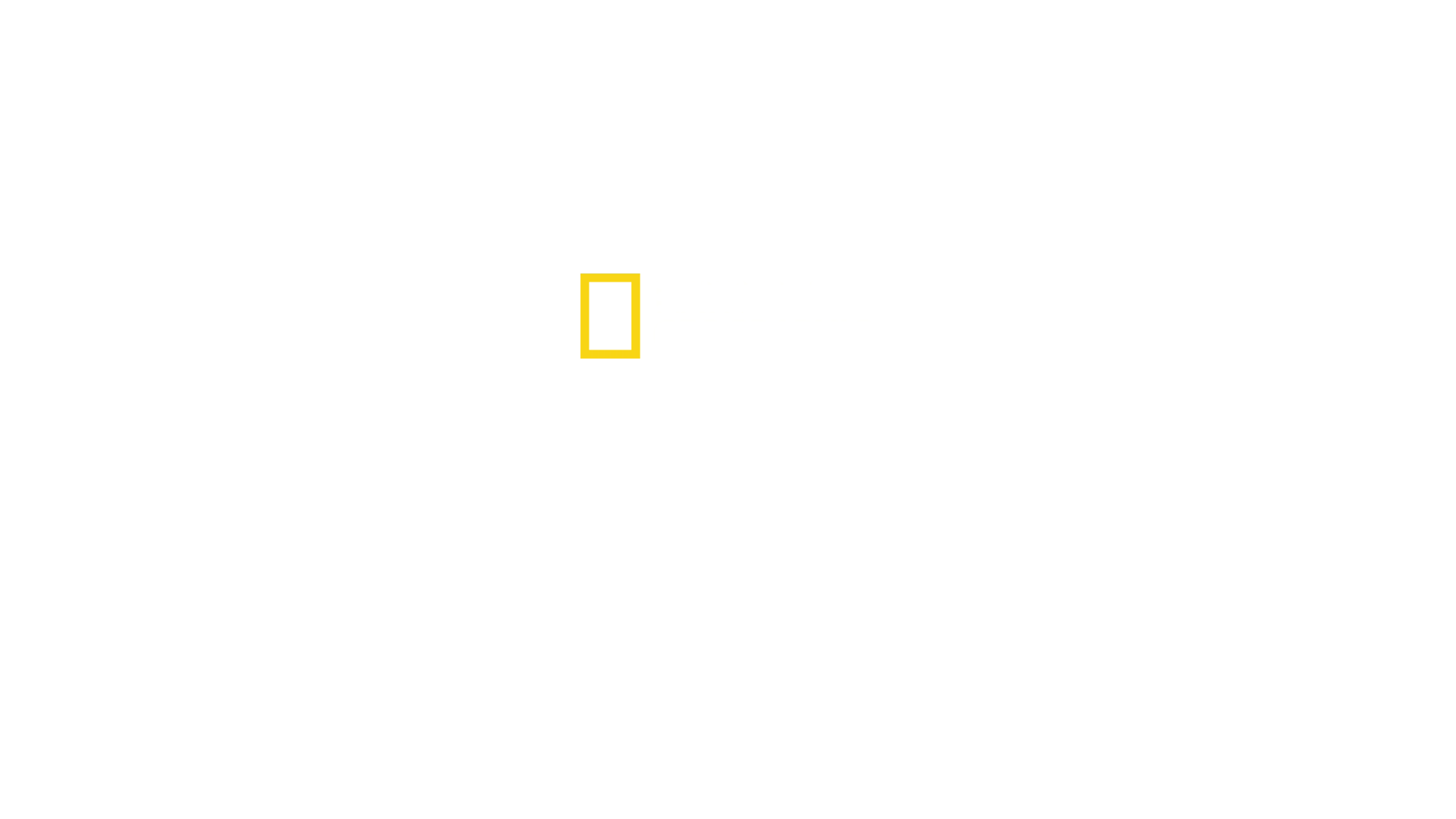 Înainte de potop