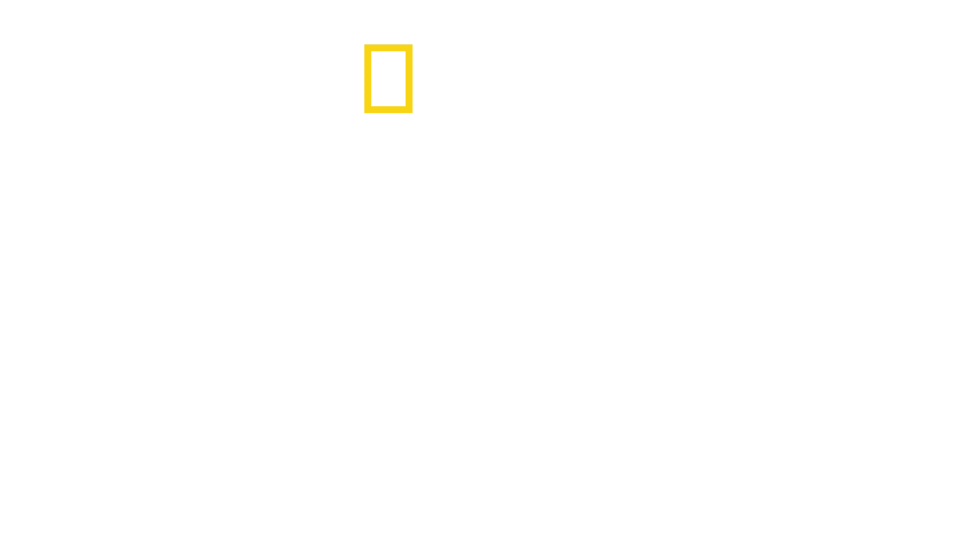 Pohled zevnitř: Severní Korea: Tři Kimové