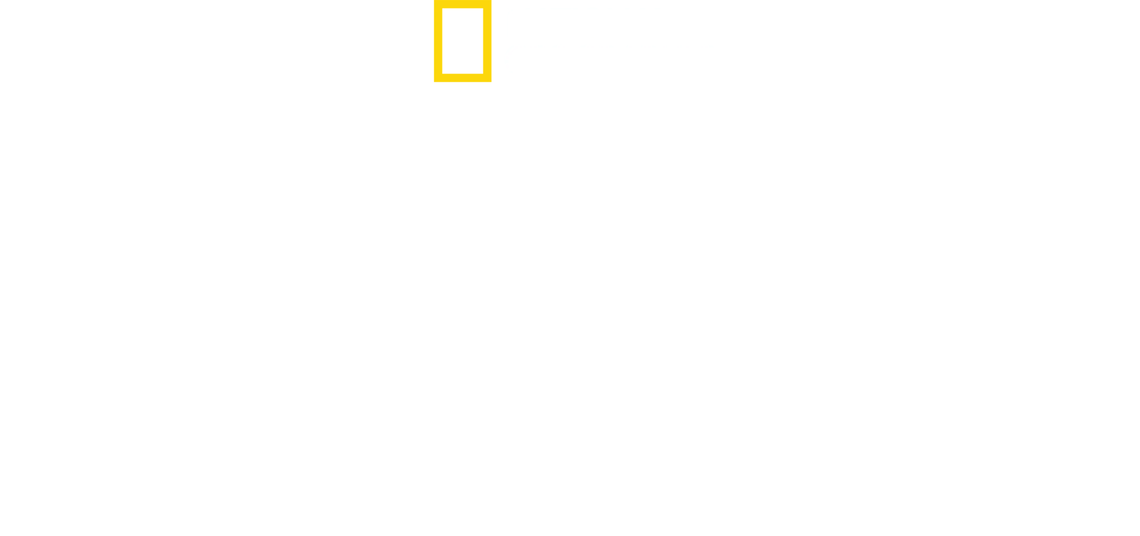 Pohled zevnitř: Severní Korea: Tři Kimové