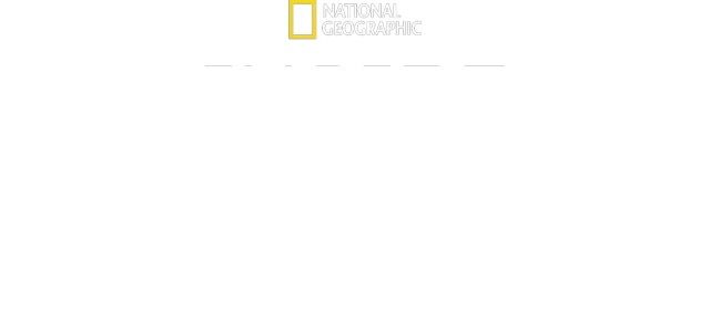 Inside North Korea's Dynasty