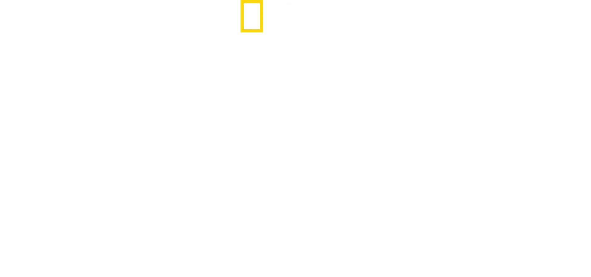 Inside North Korea's Dynasty