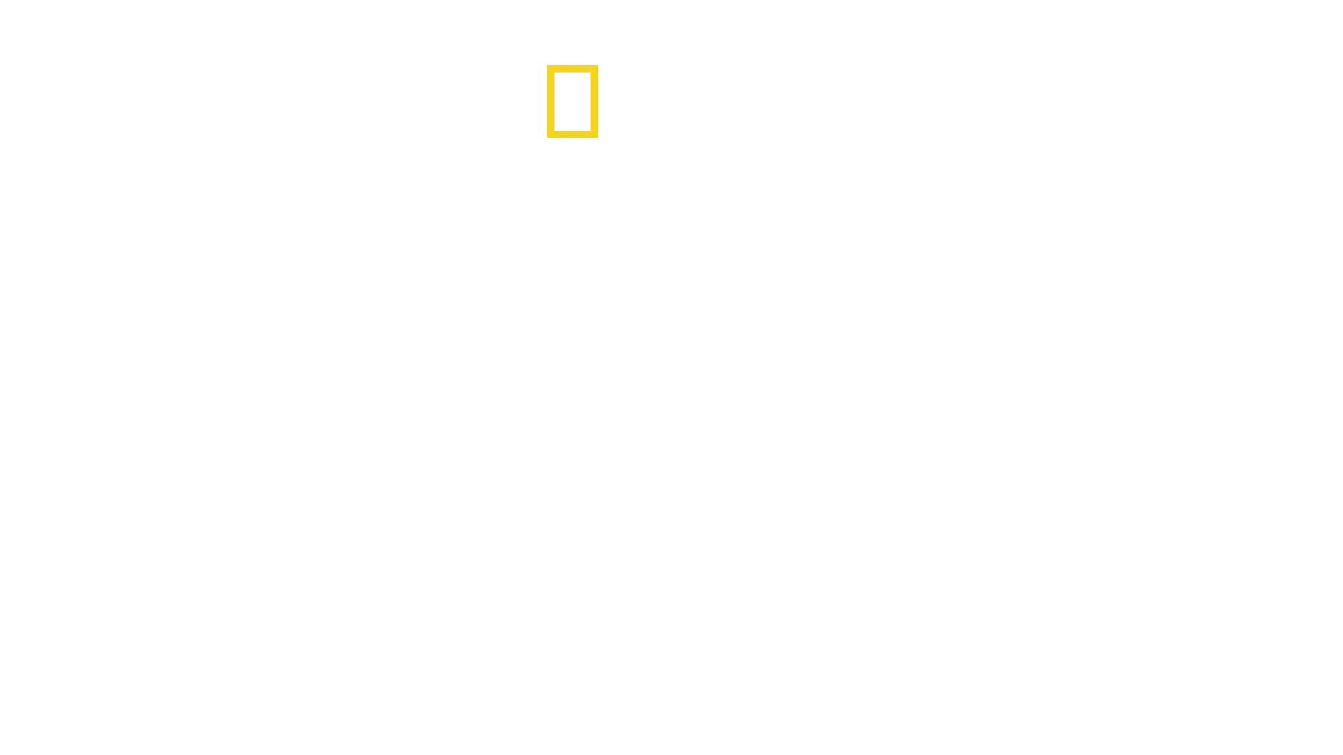 Inside North Korea's Dynasty