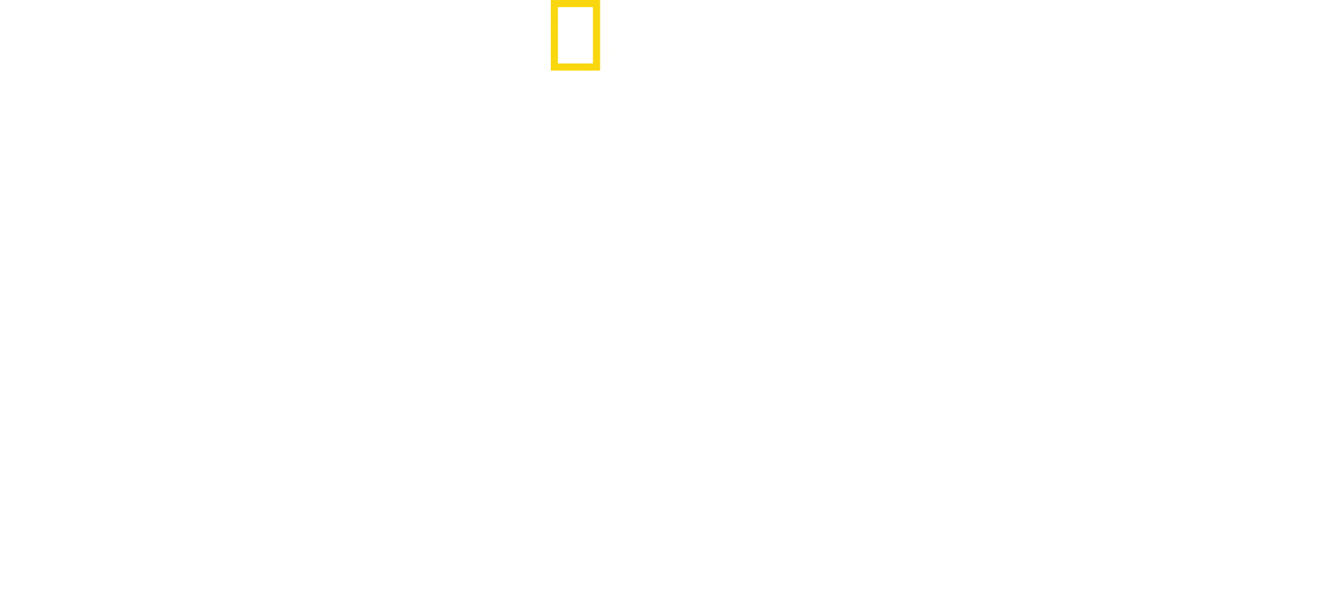 Corée du Nord : portraits de dictateurs