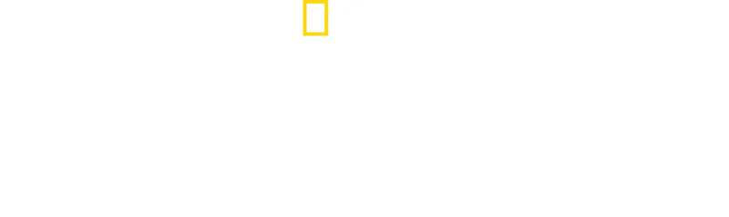 Nord Corea: La dinastia Kim