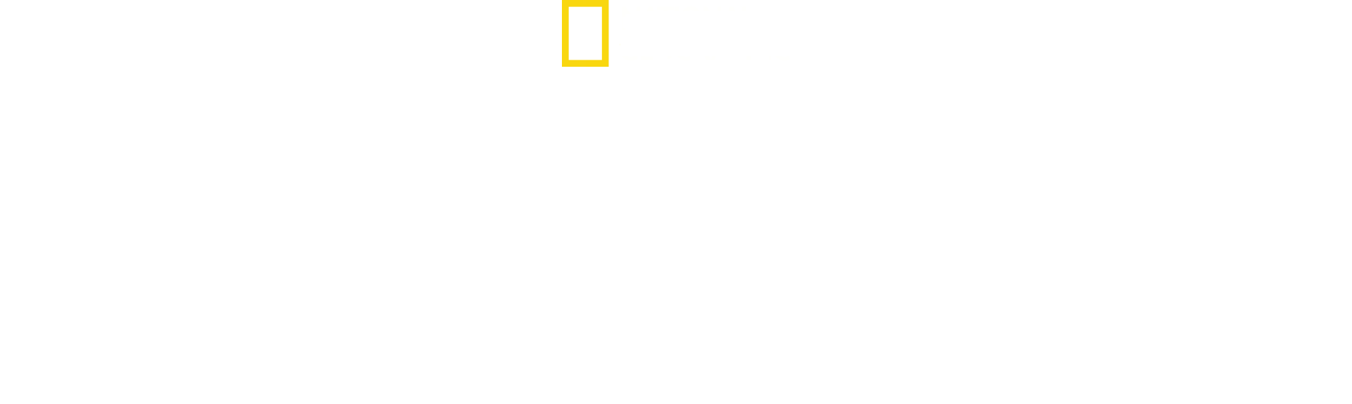 Nord Corea: La dinastia Kim