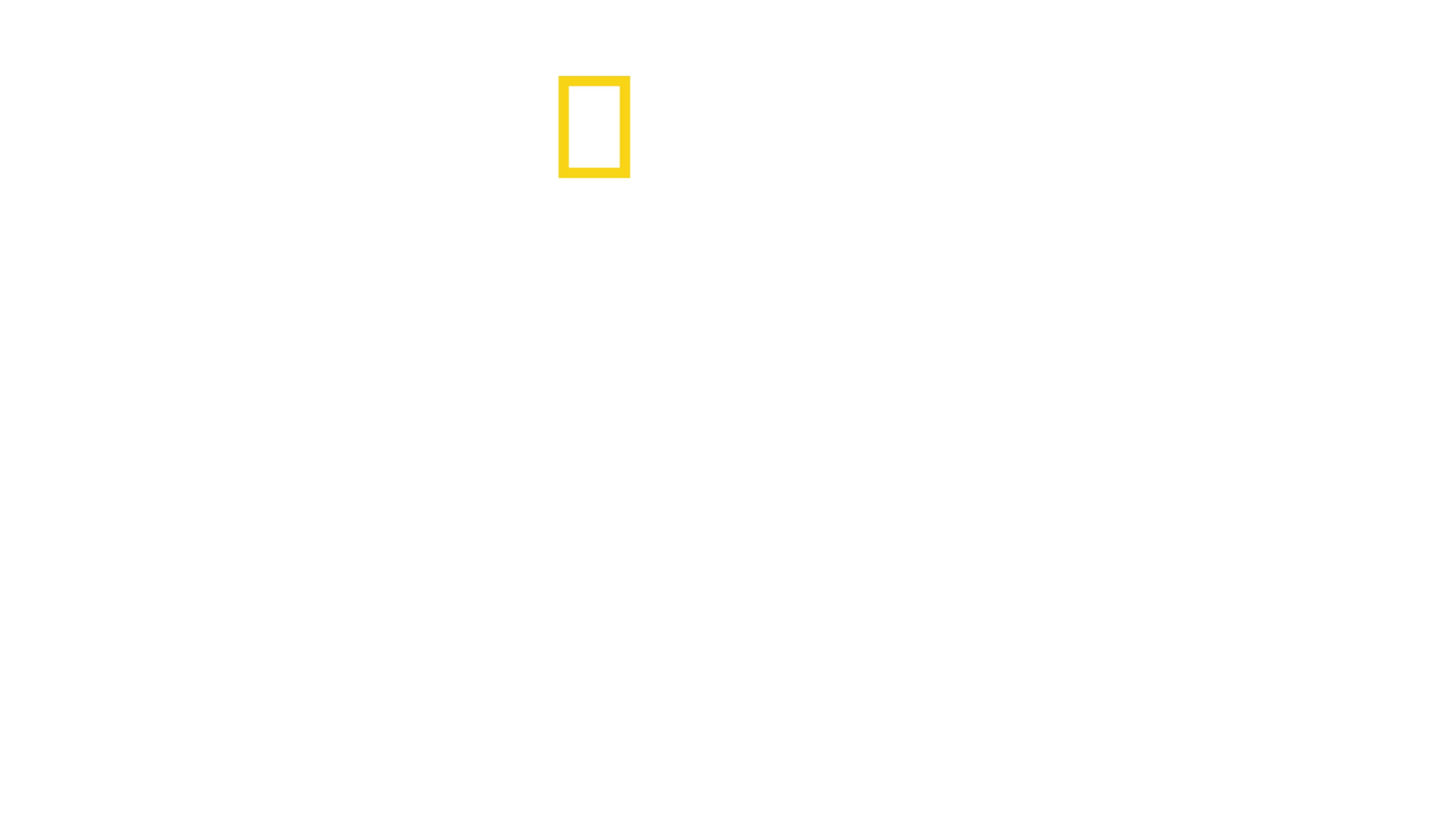 Dynastia Kimów - trzy pokolenia